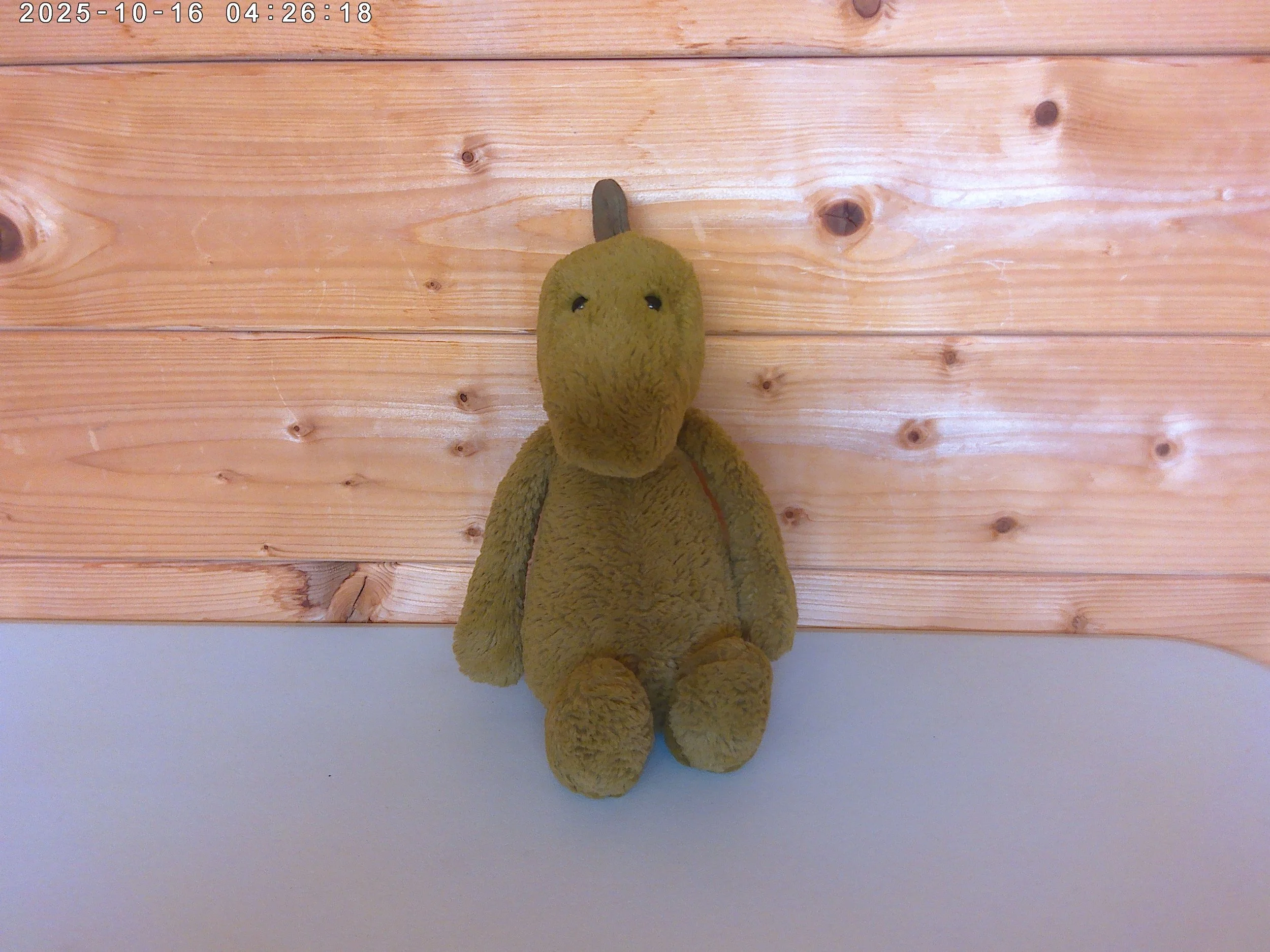 Bashful dino - photo 2.jpg