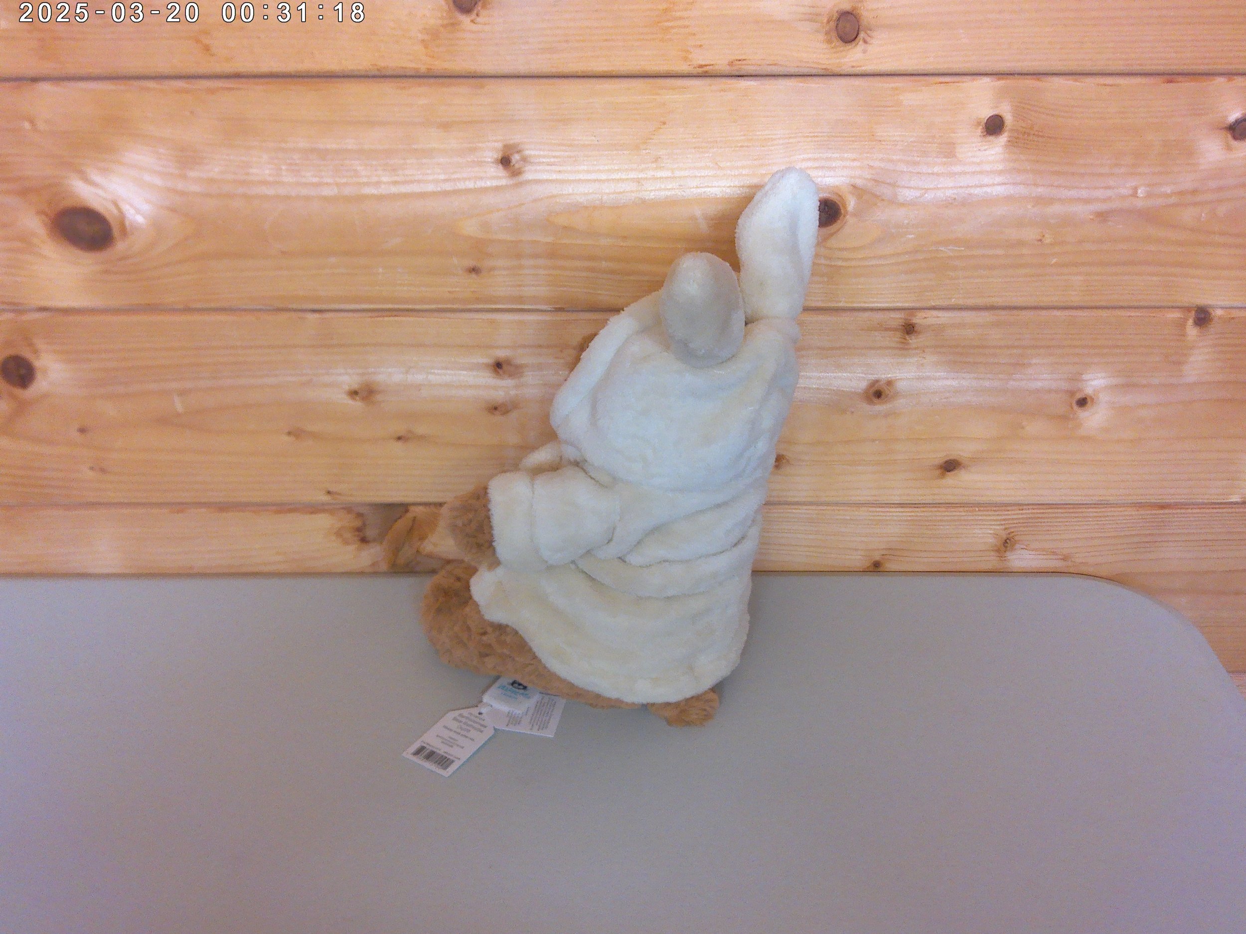 Bathrobe Barth - photo 2.jpg