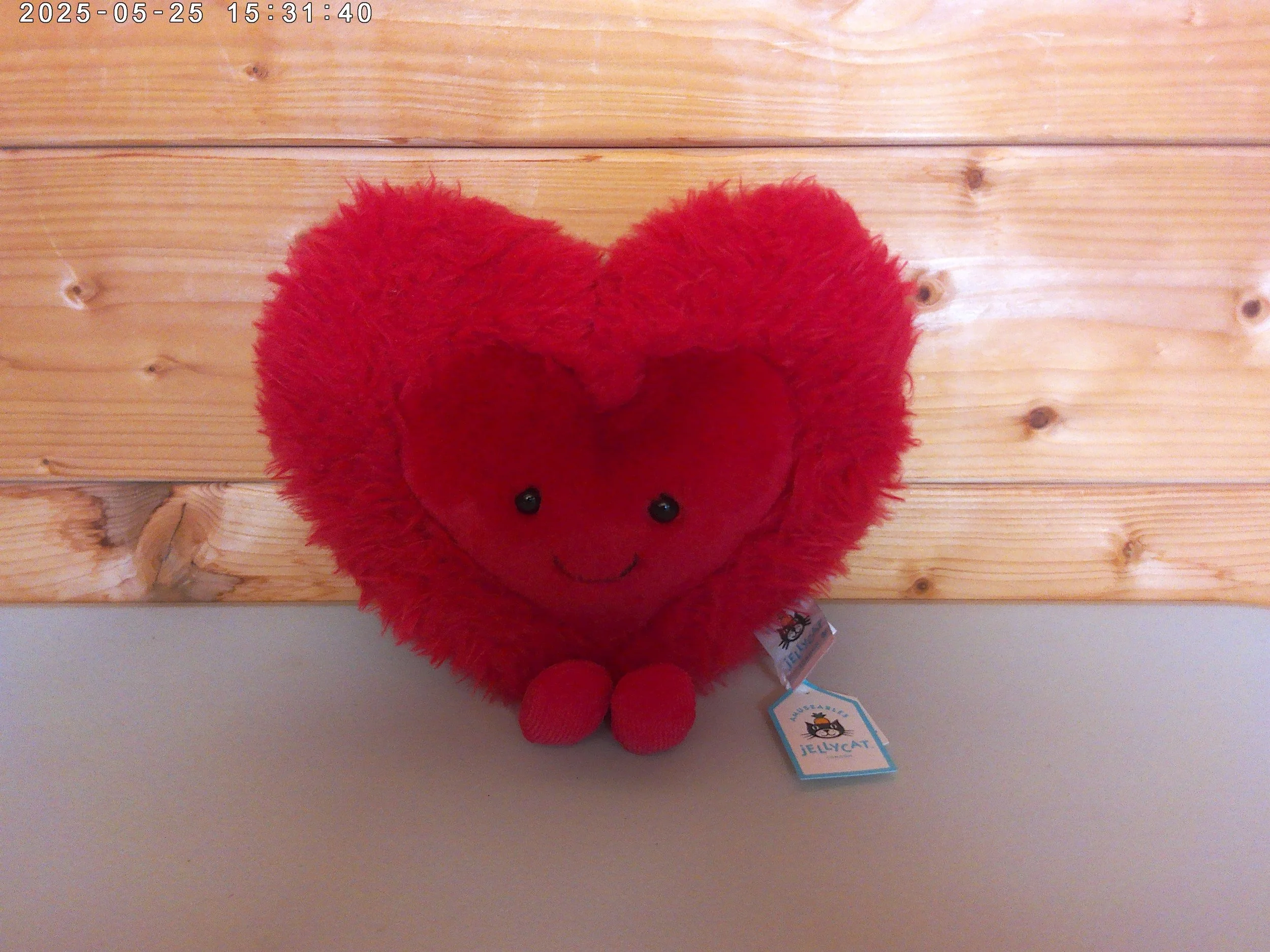 Heart - photo 1.jpg