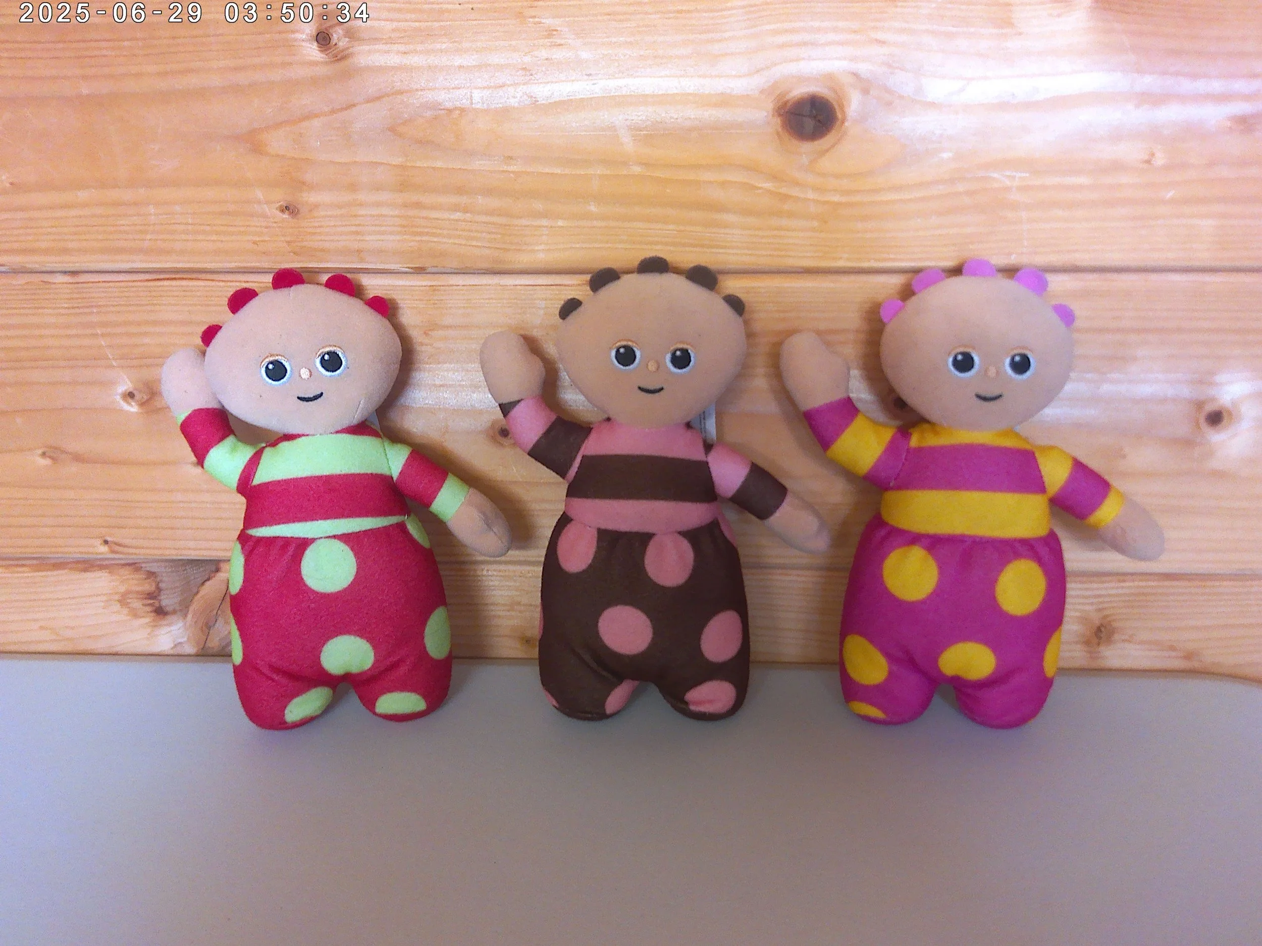 tomliboos photo 1.jpg