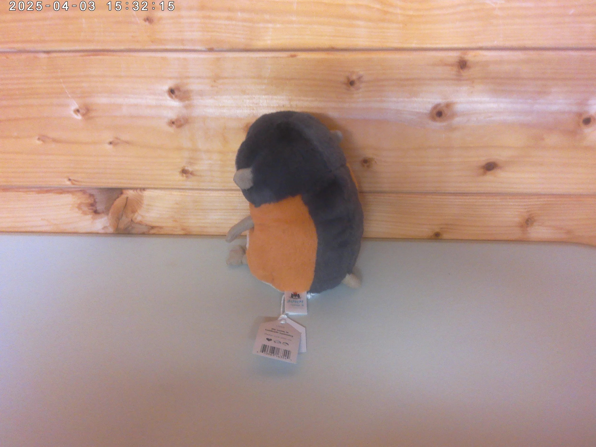 Lemming - photo 2.jpg