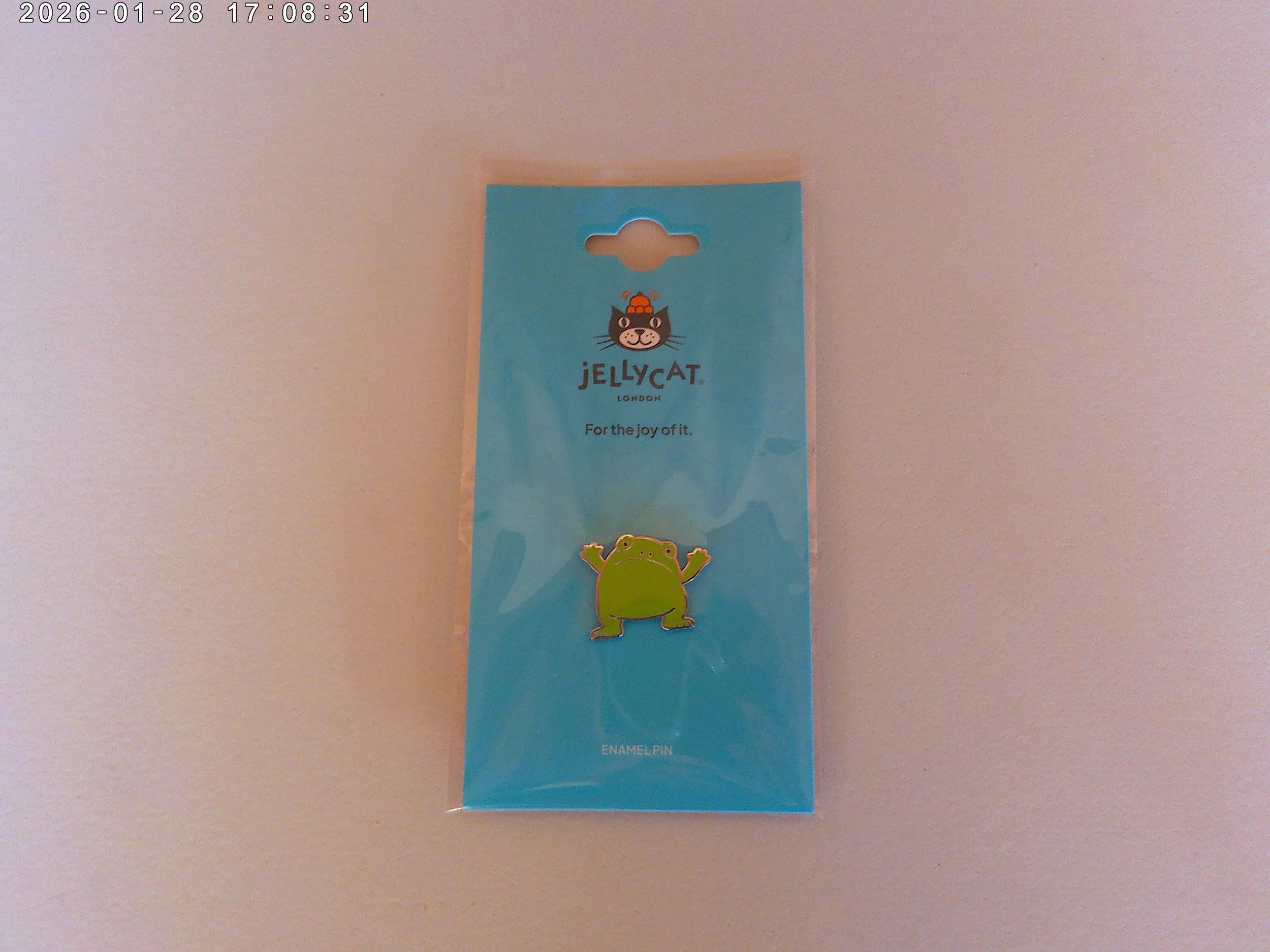Ricky Rainfrog pin - photo 1.jpg