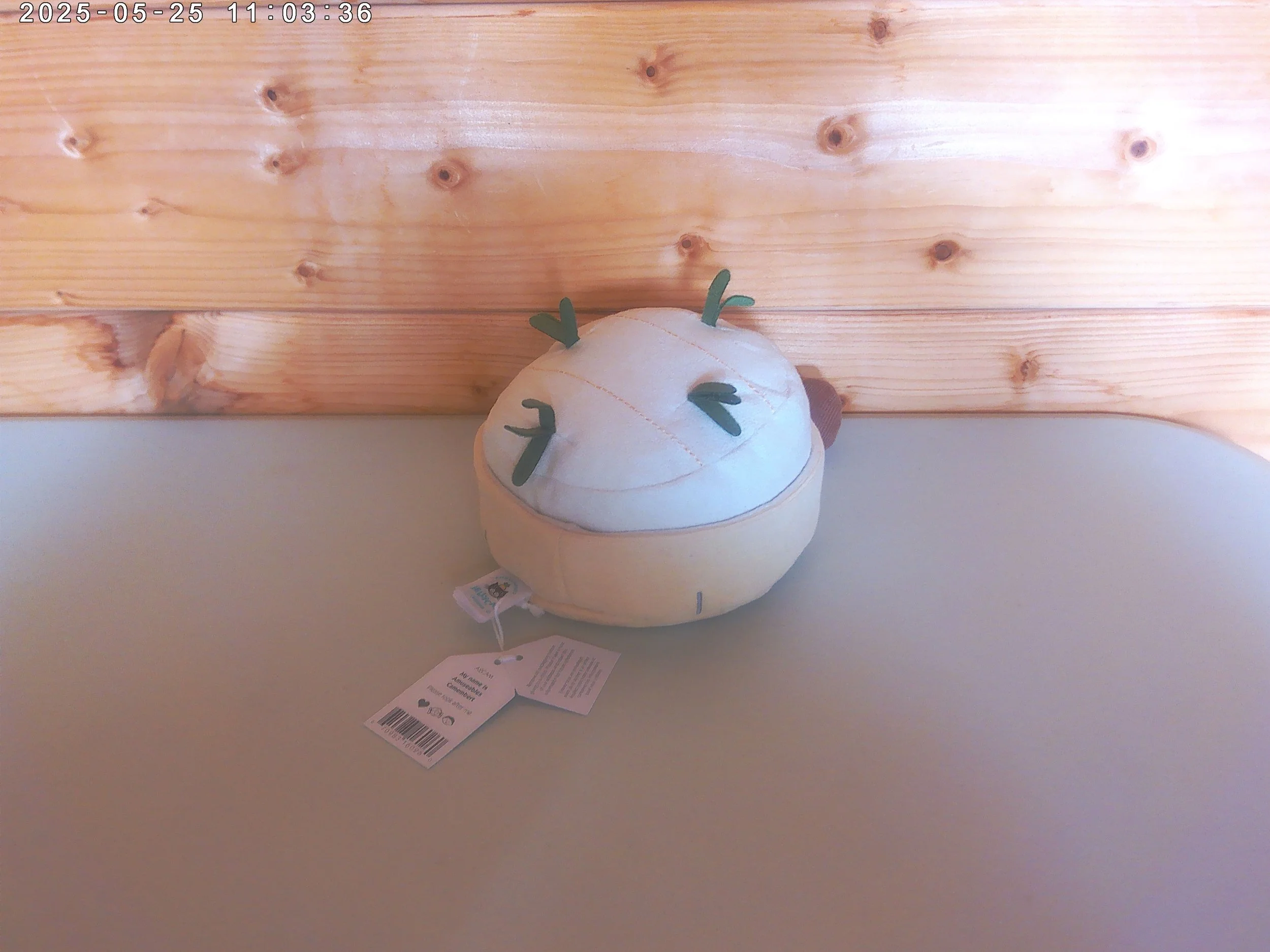 Camembert - photo 2.jpg