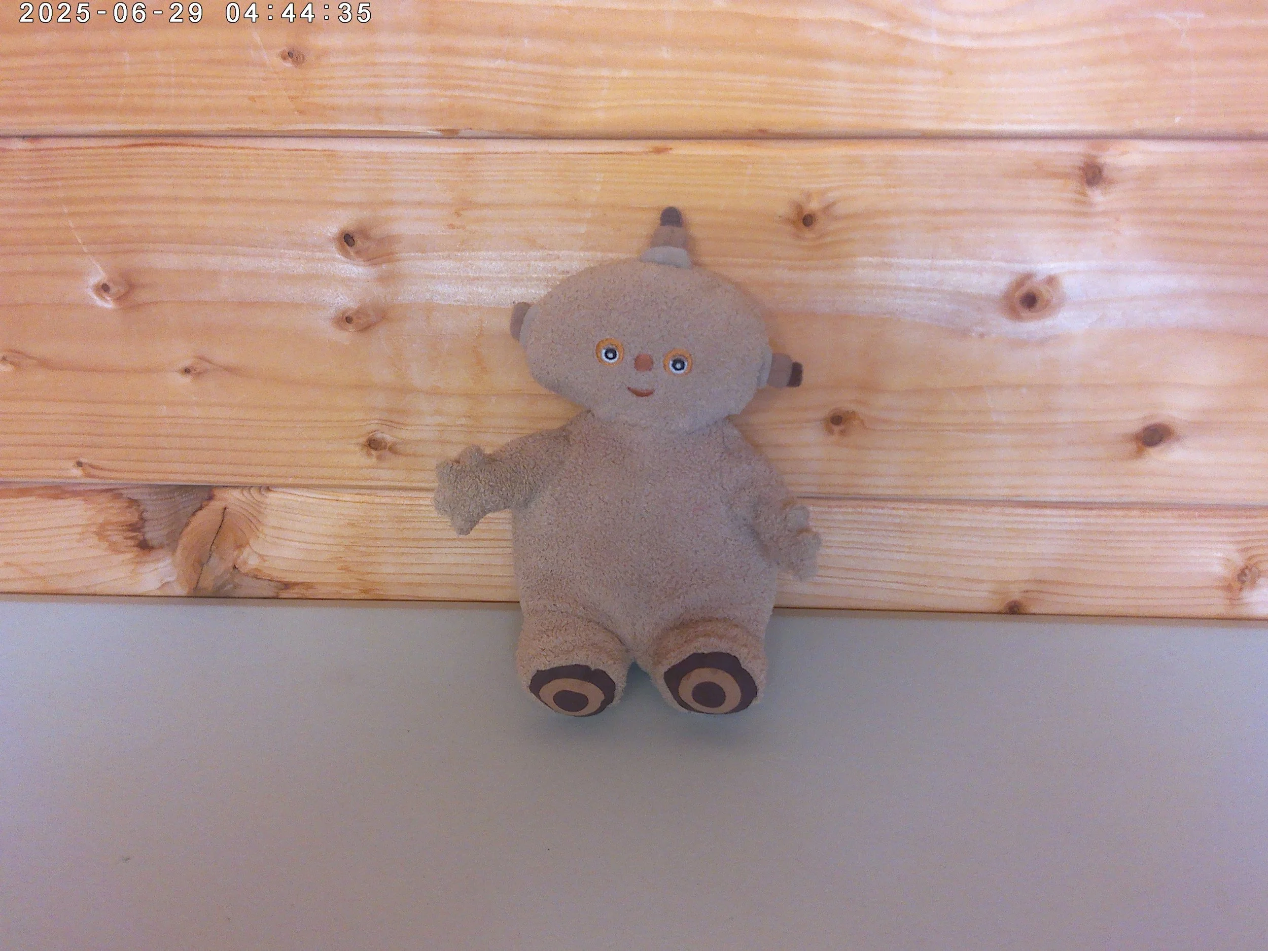 makka pakka photo 1.jpg