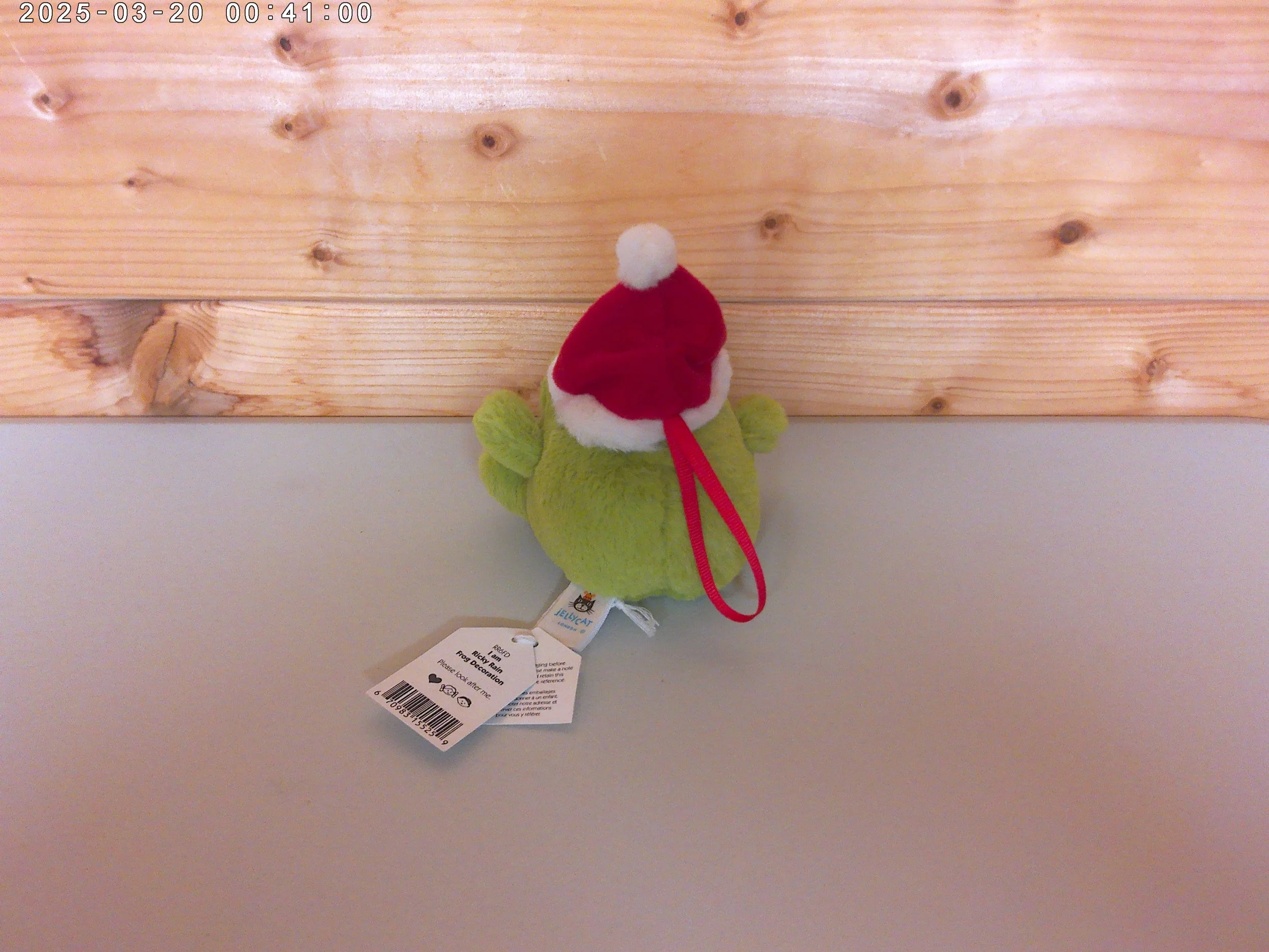 Ricky hanger - photo 2.jpg