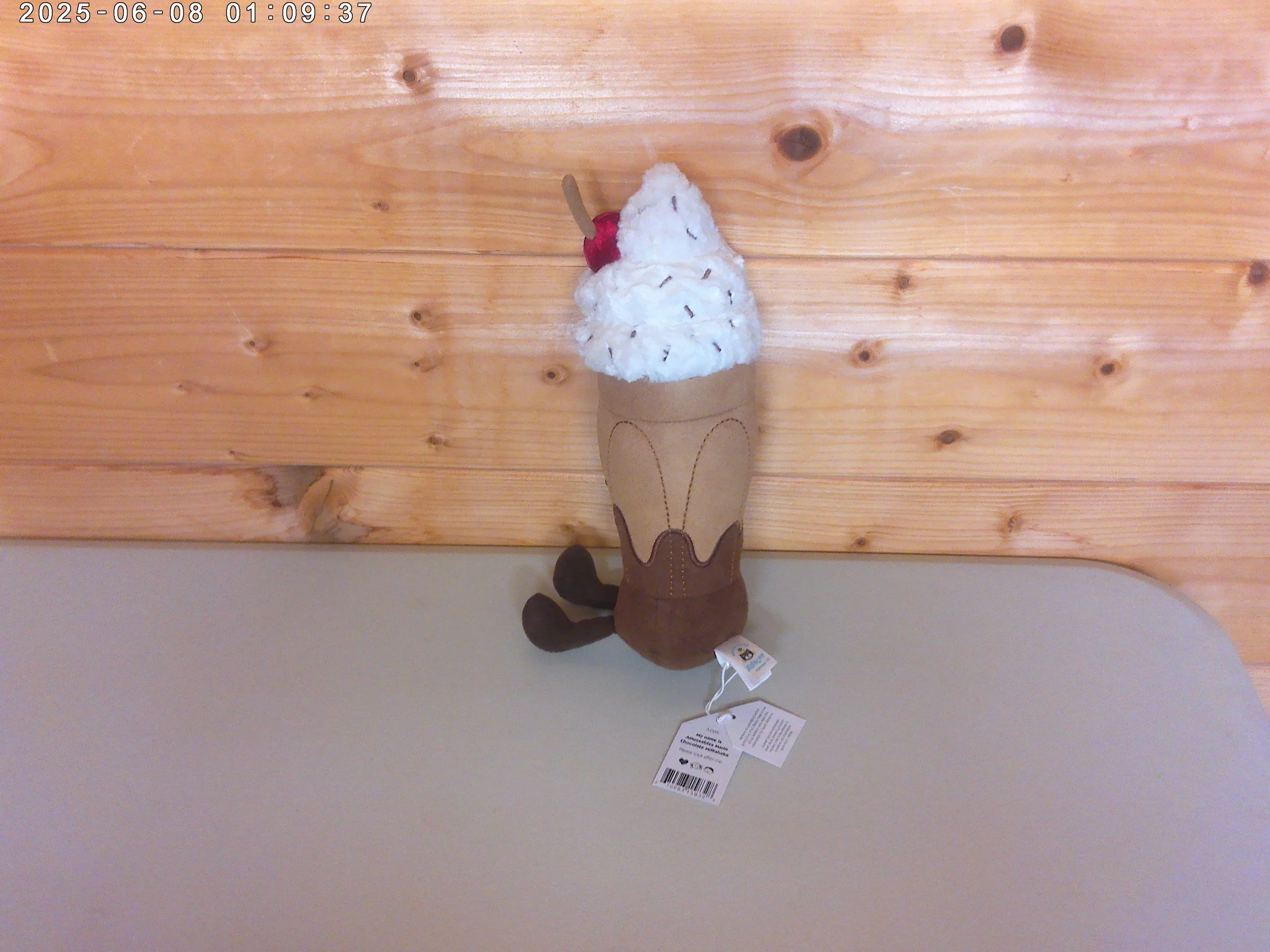 Milkshake - photo 2.jpg