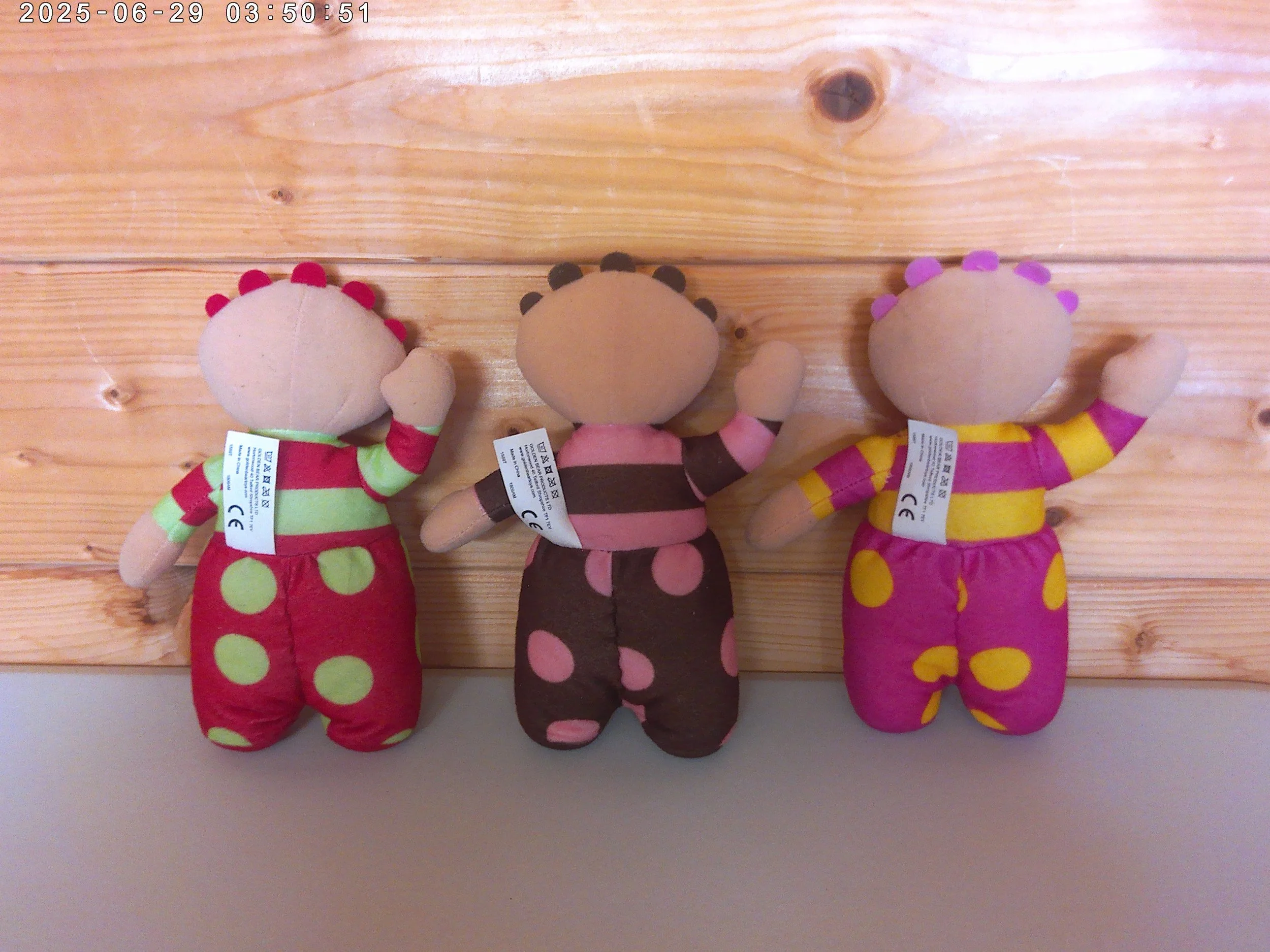 tomliboos photo 2.jpg