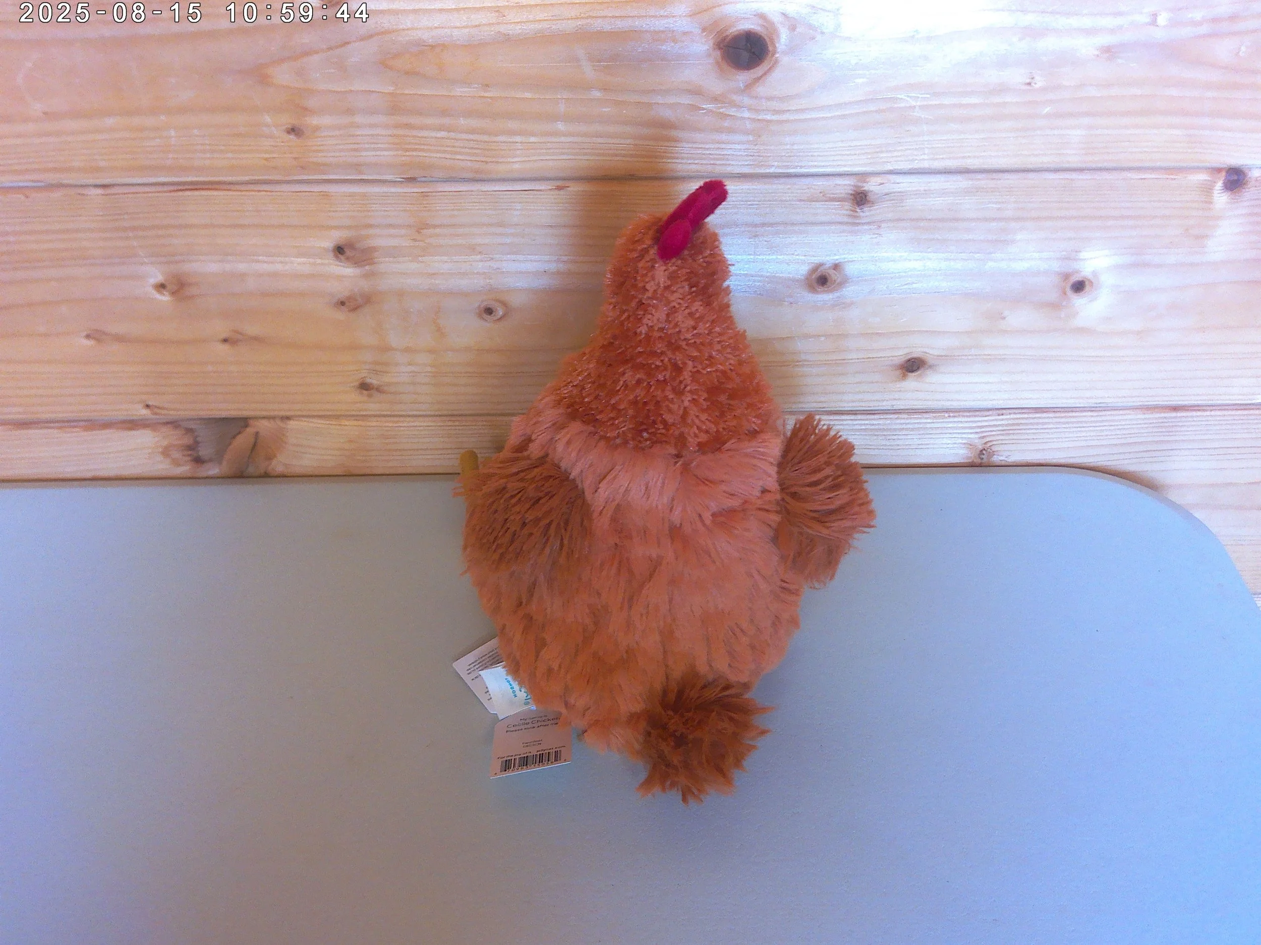 Celia chicken - photo 2.jpg