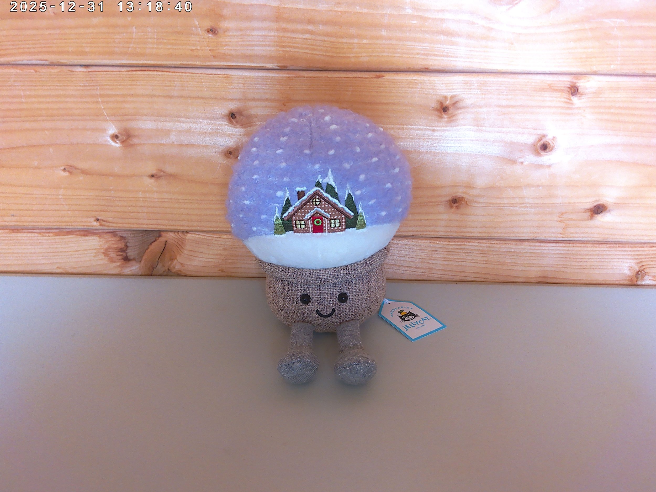 Snowglobe - photo 1.jpg