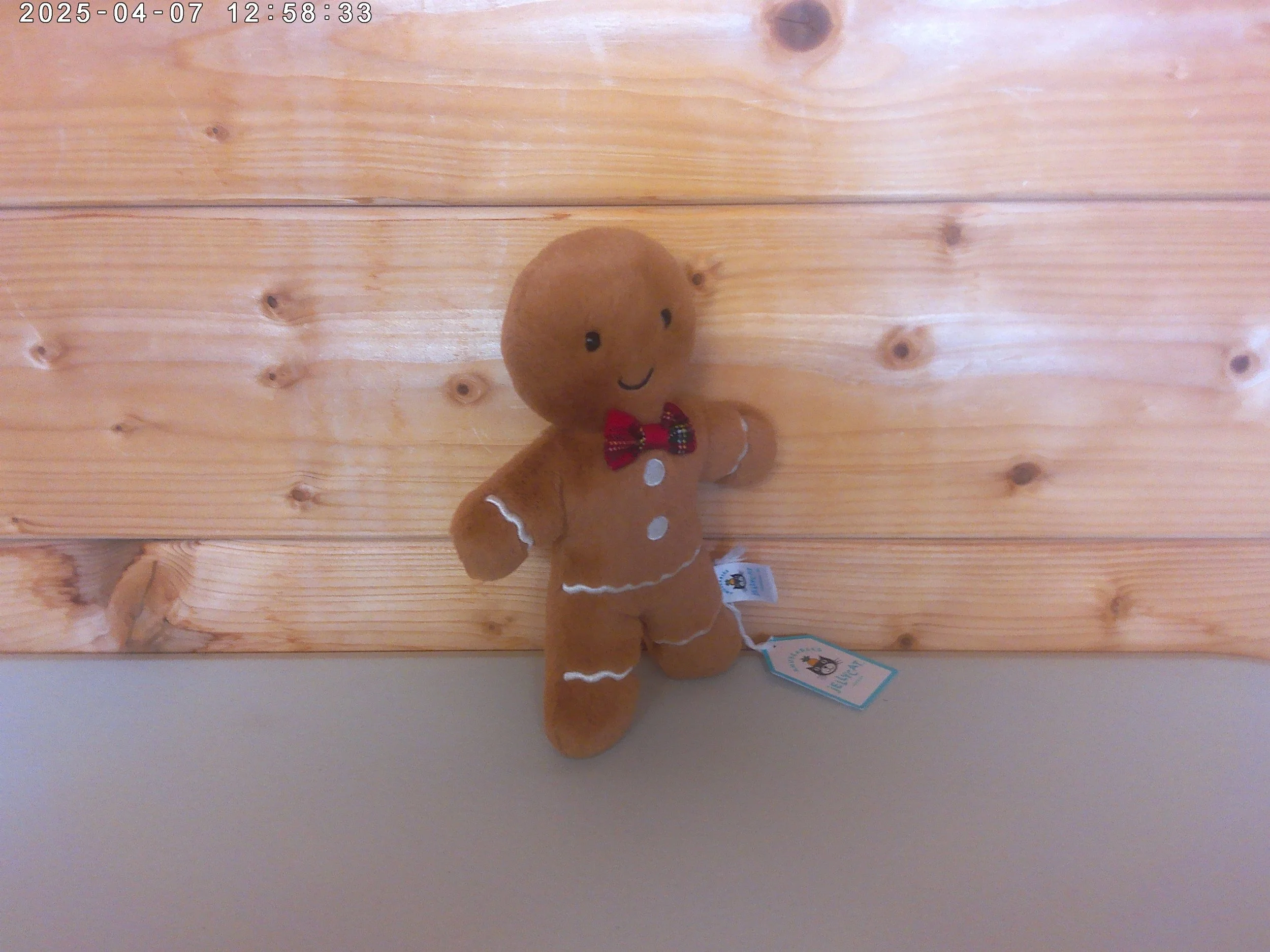Gingerbread man - photo 3.jpg