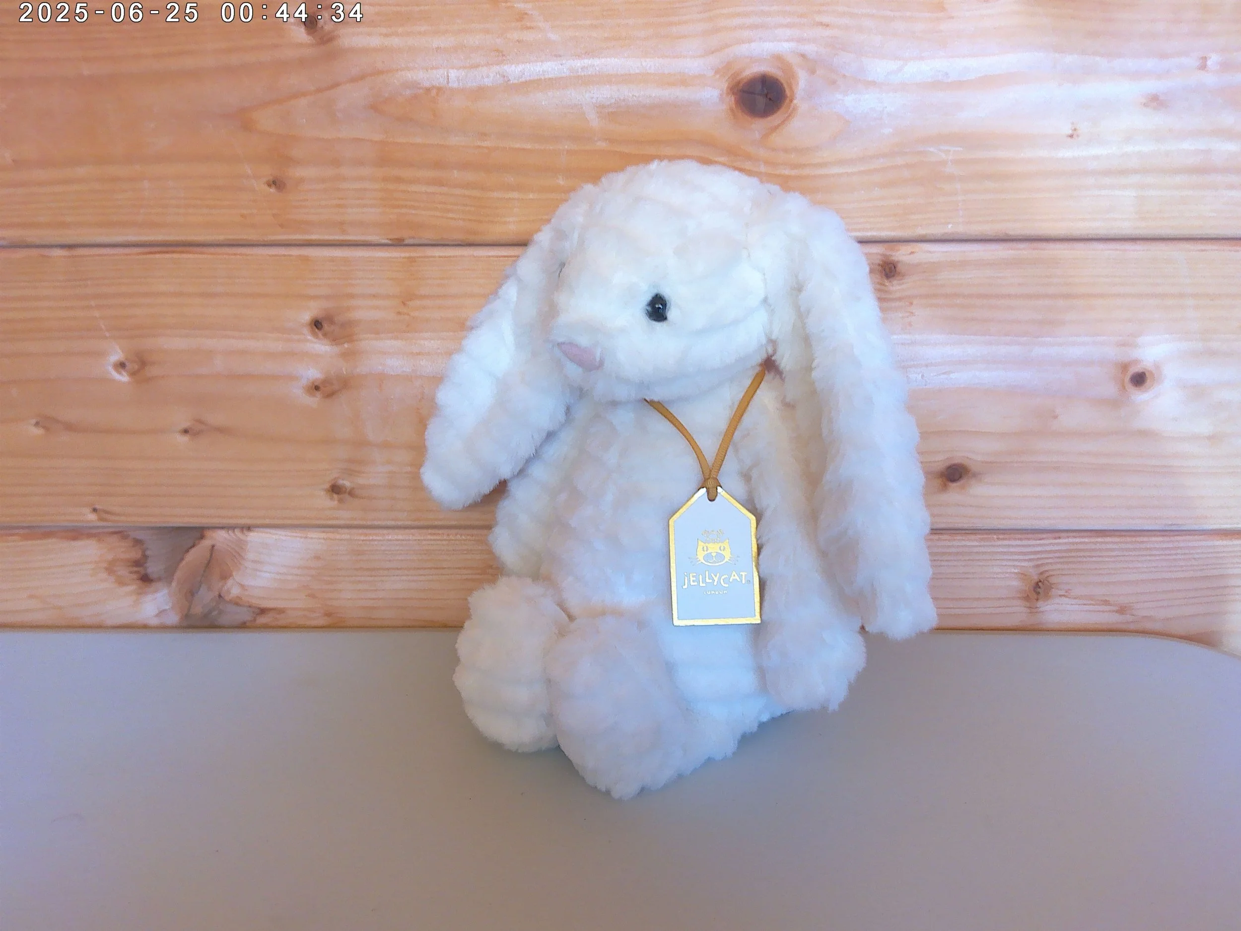 Nimbus - photo 4.jpg