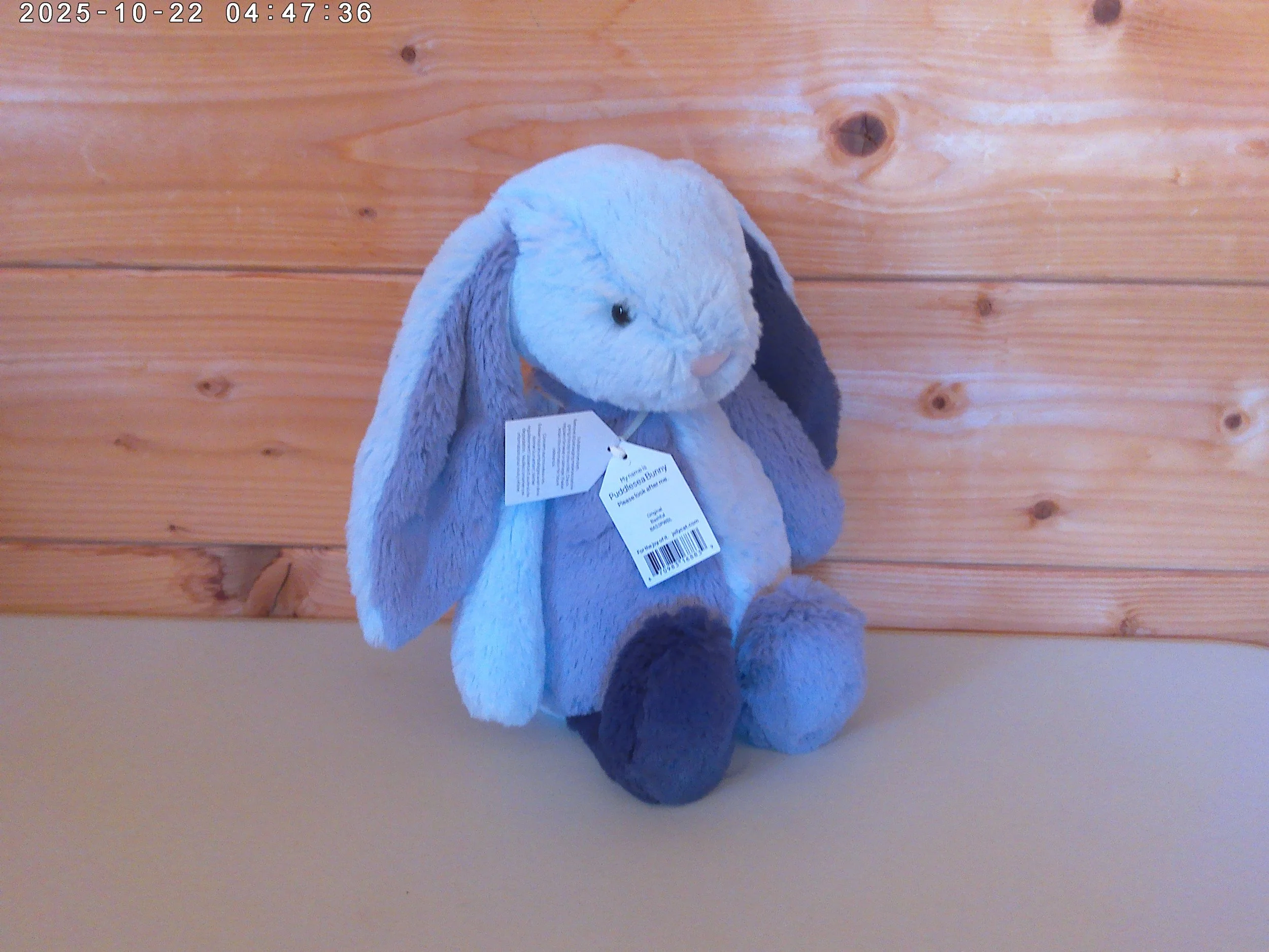 Puddlesea bunny - photo 3.jpg