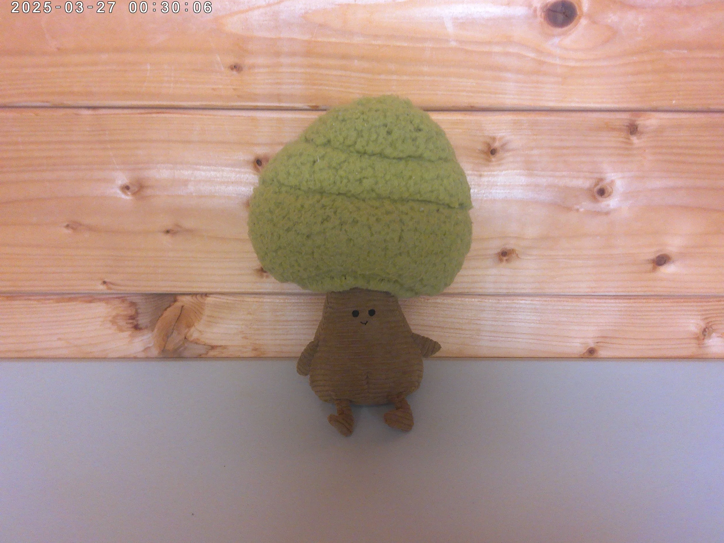 Foretree lime - photo 1.jpg