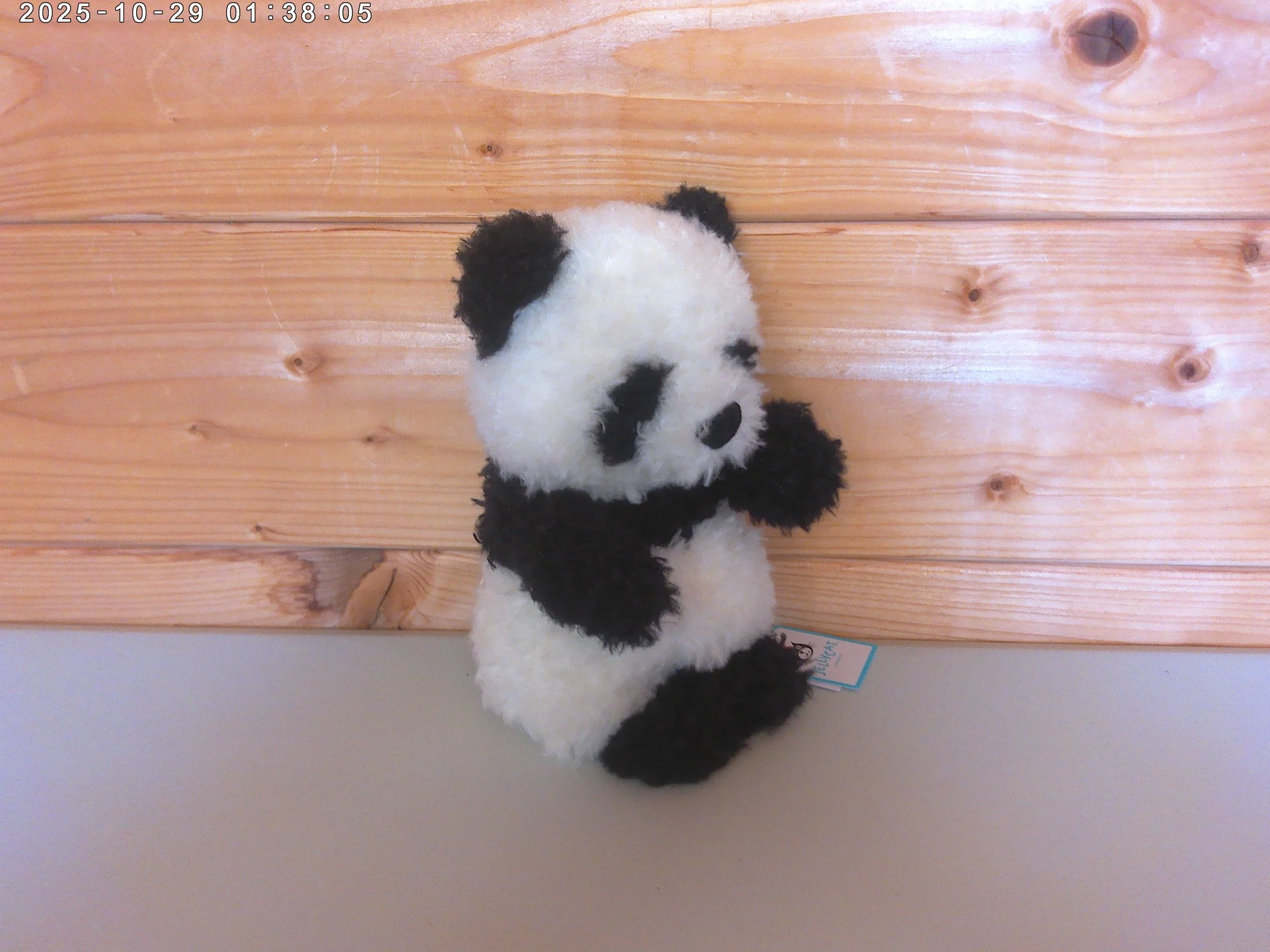 Little panda - photo 4.jpg