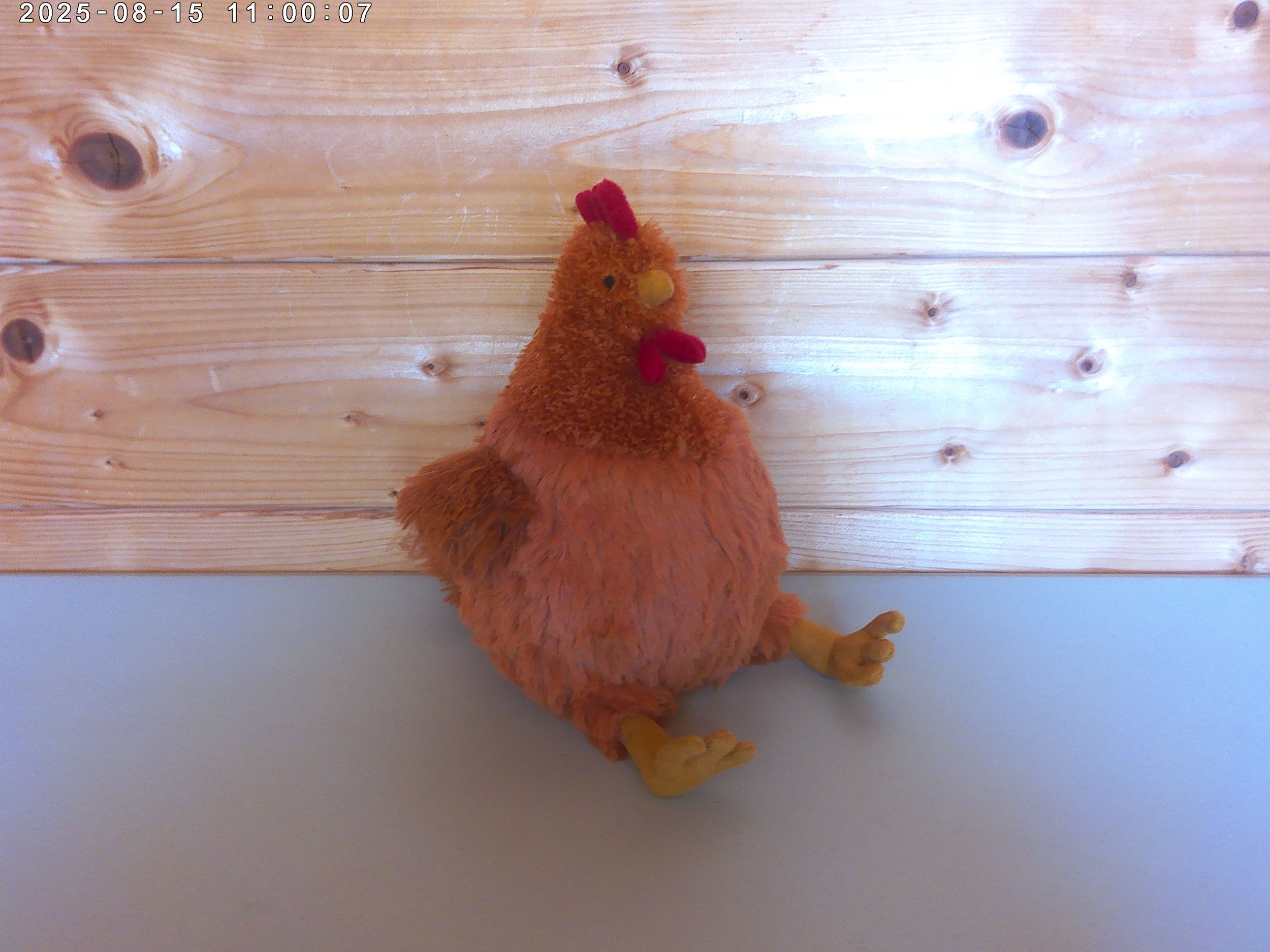 Jellycat Cecile Chicken - New