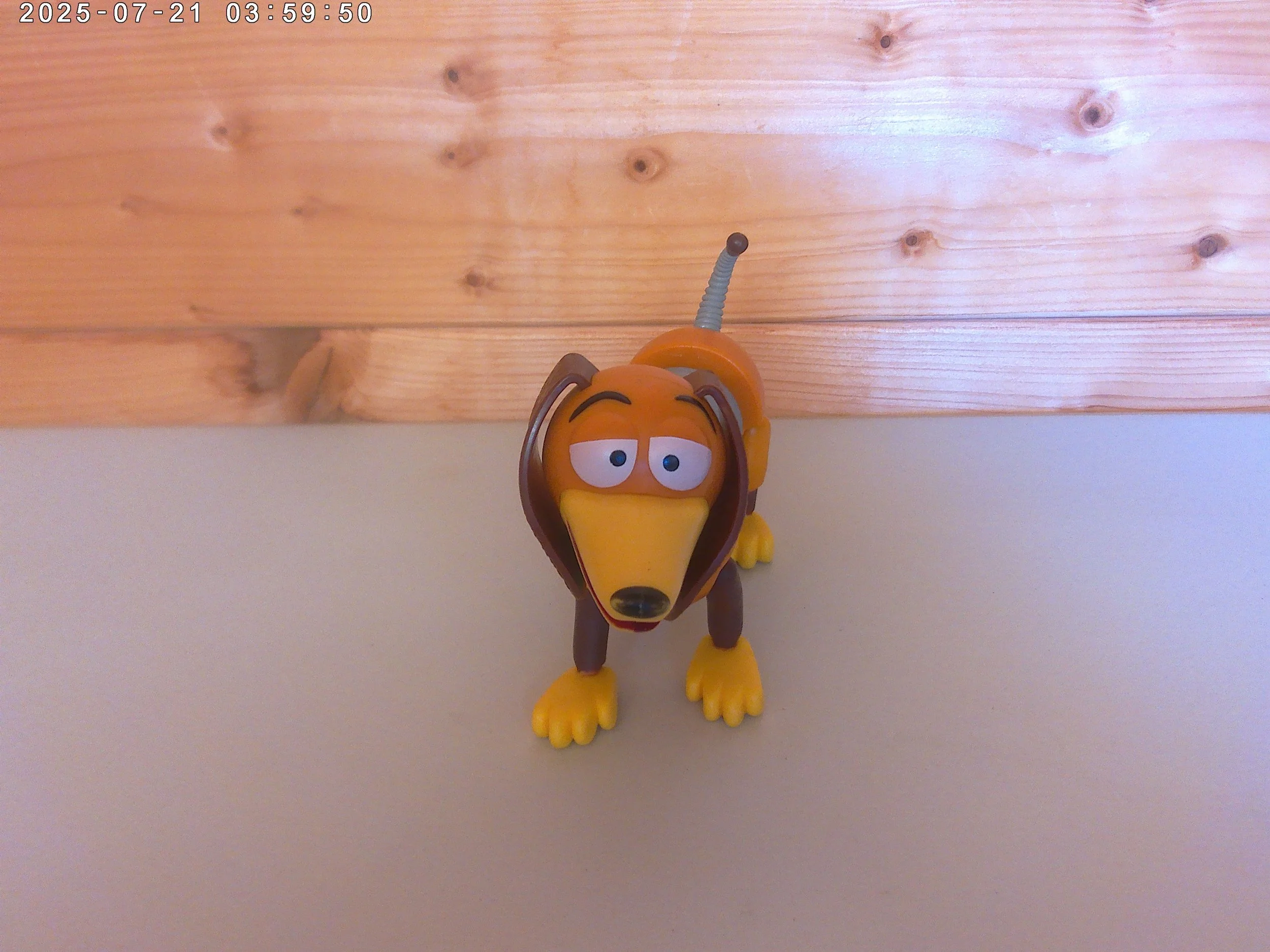 Slinky - photo 5.jpg