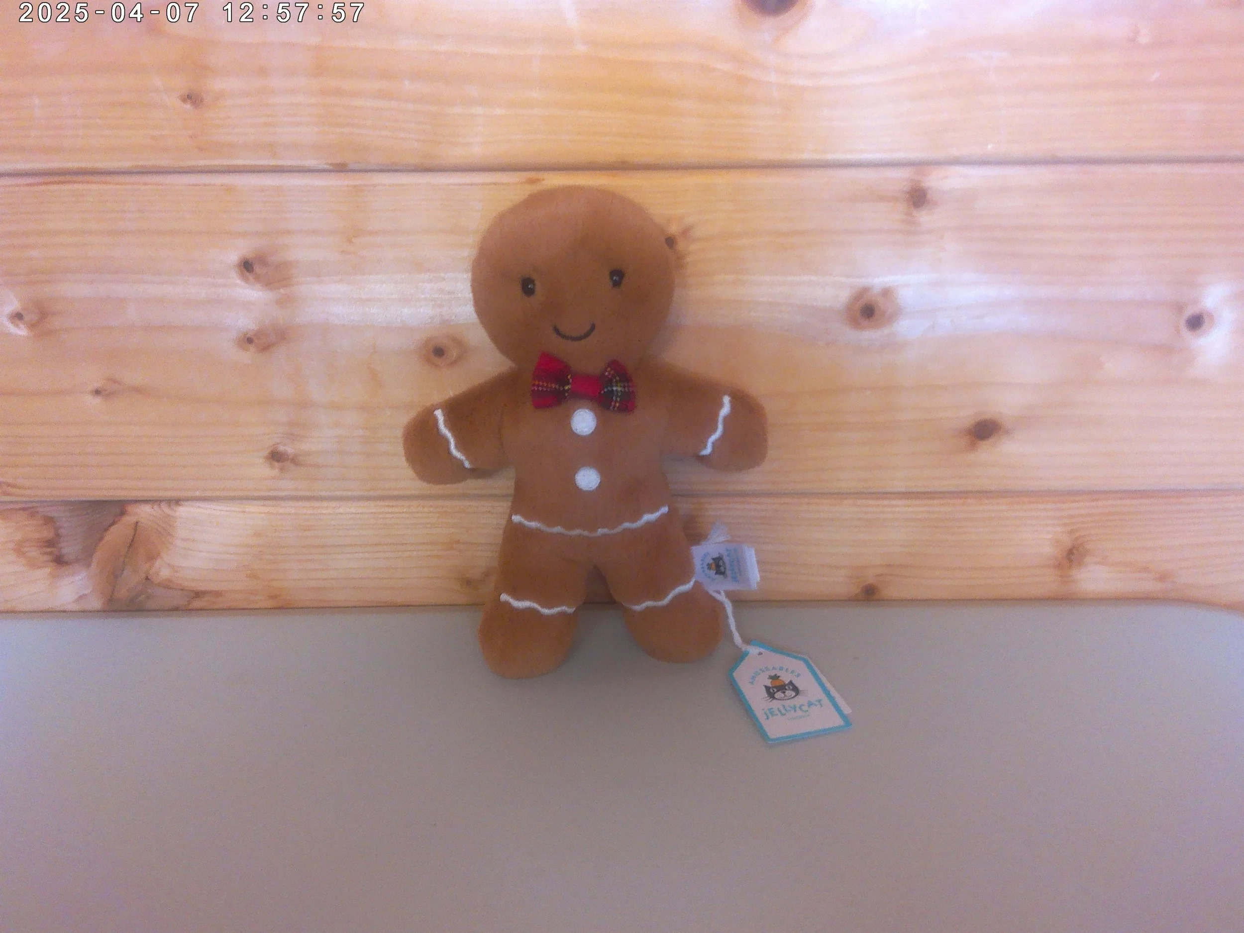 Gingerbread man - photo 1.jpg