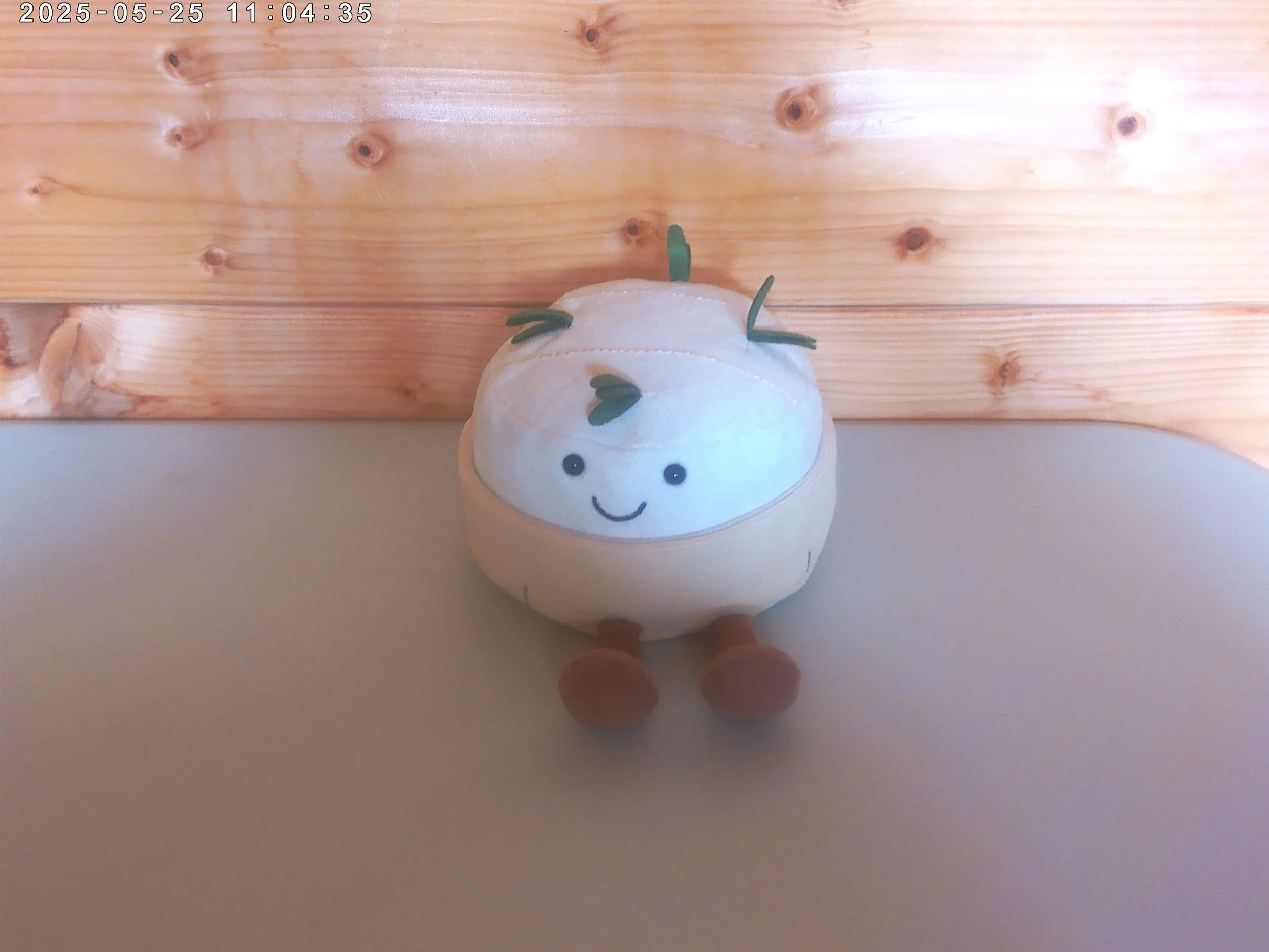 Camembert - photo 5.jpg