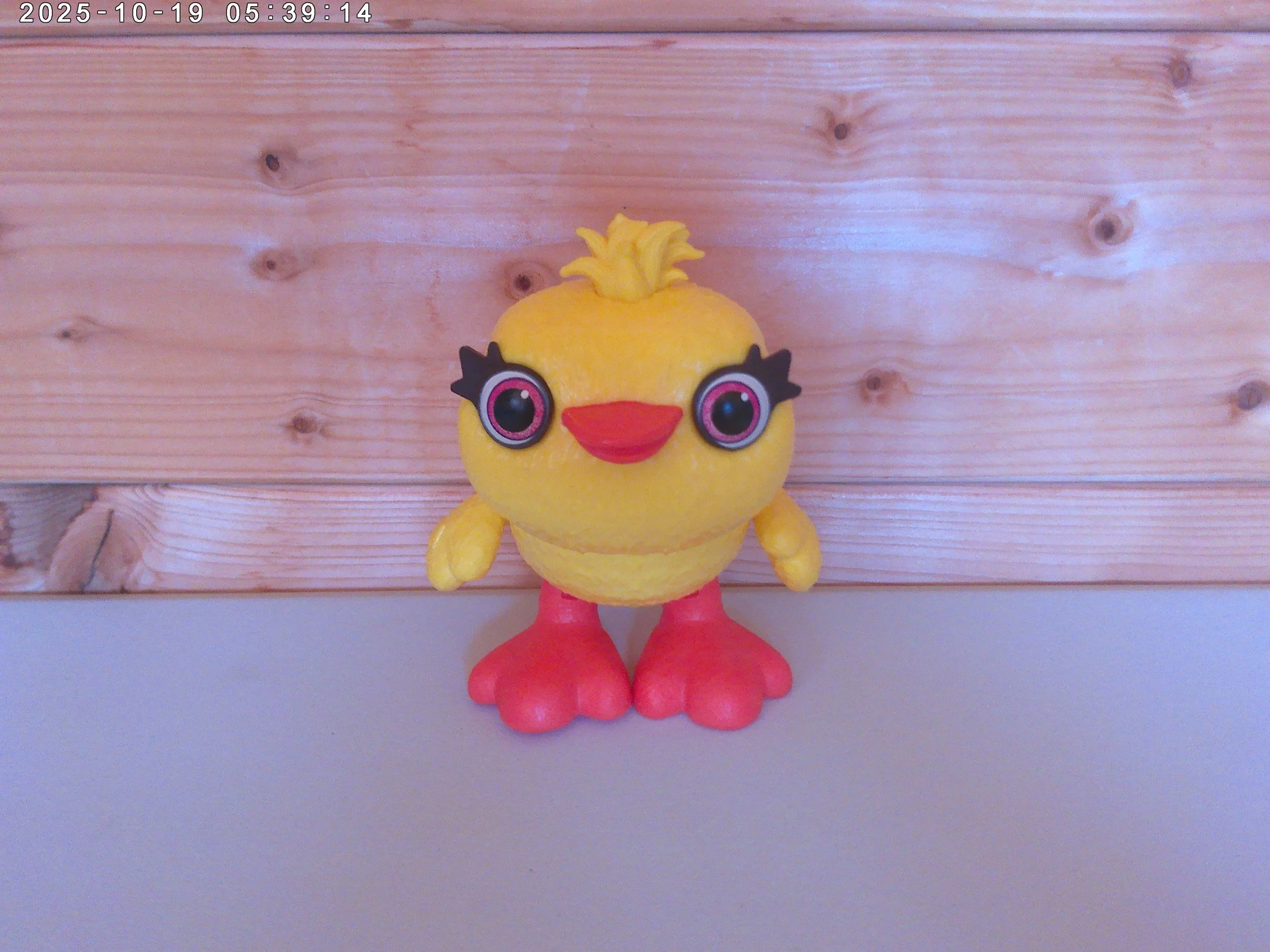Ducky - photo 1.jpg