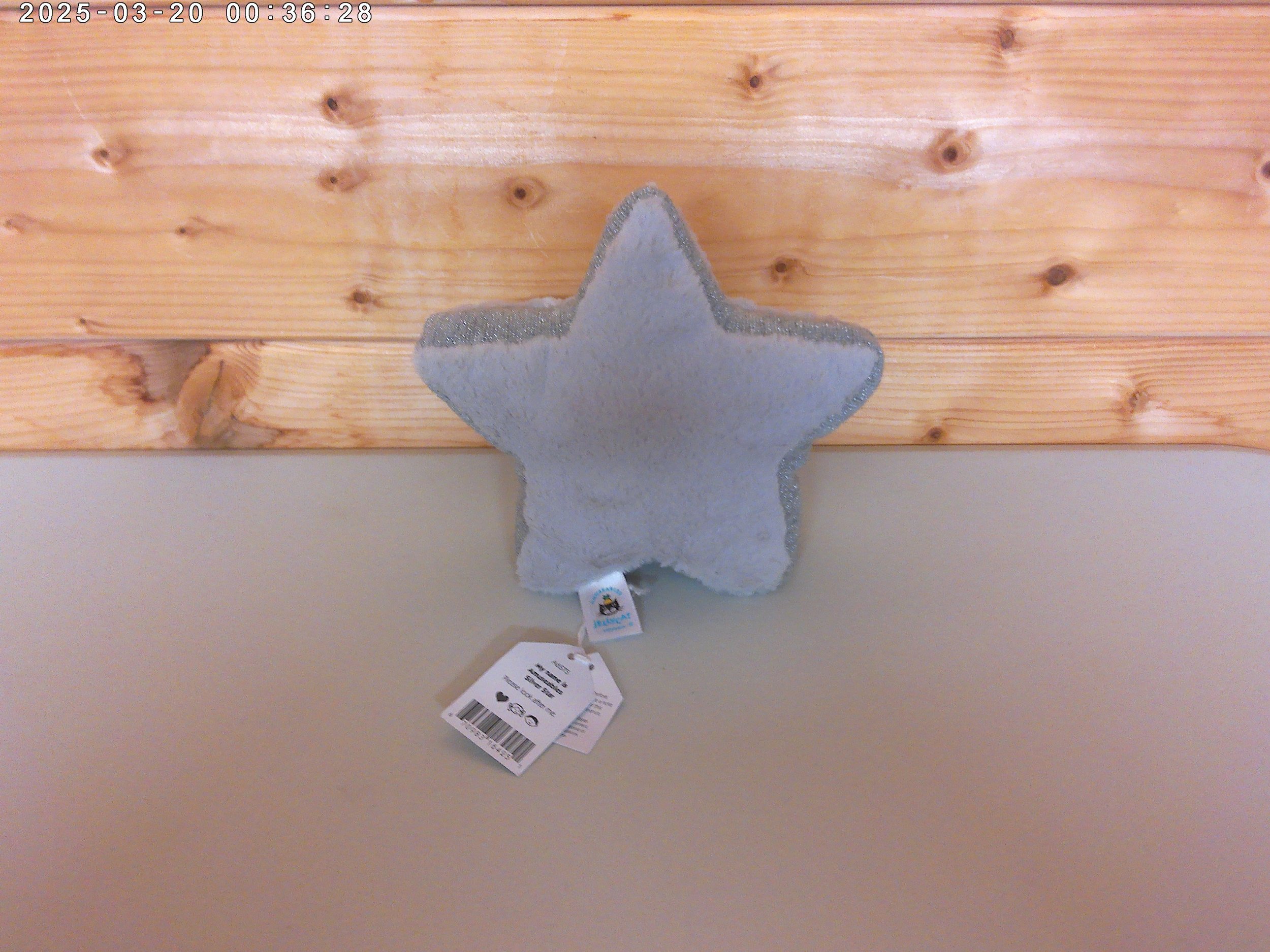 Silver star - photo 2.jpg