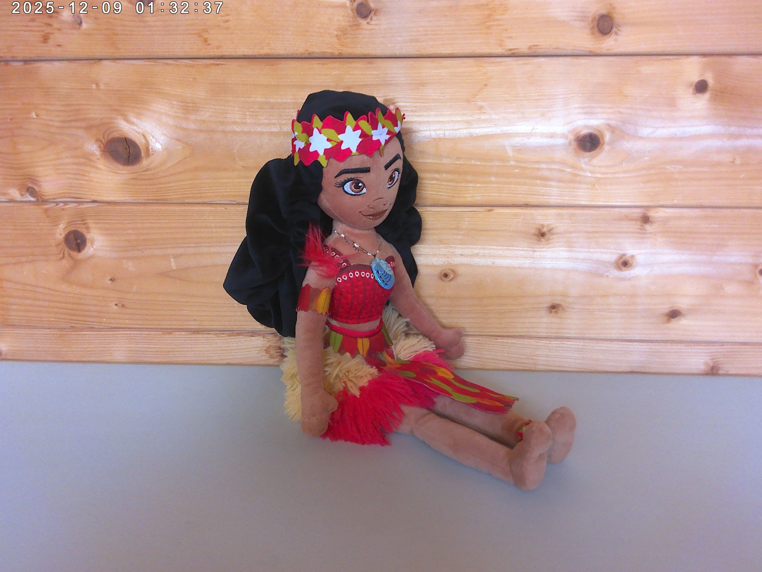 Disney Moana Plush (2)
