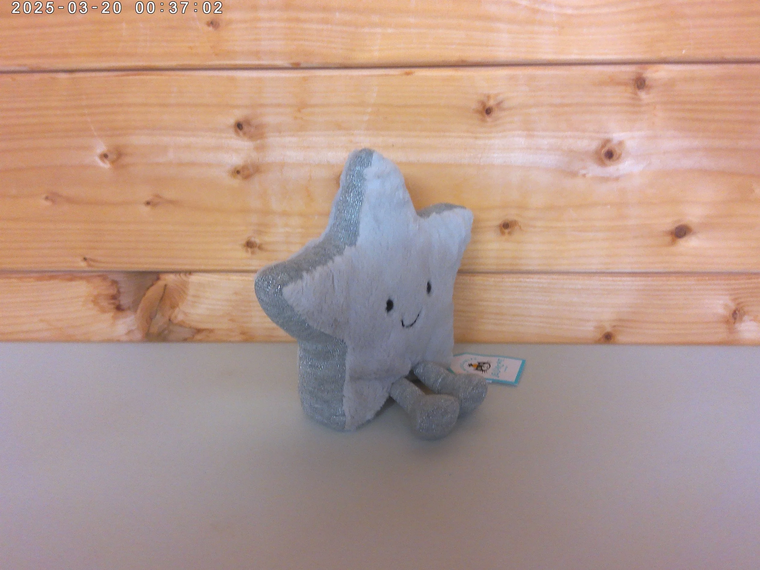 Silver star - photo 3.jpg