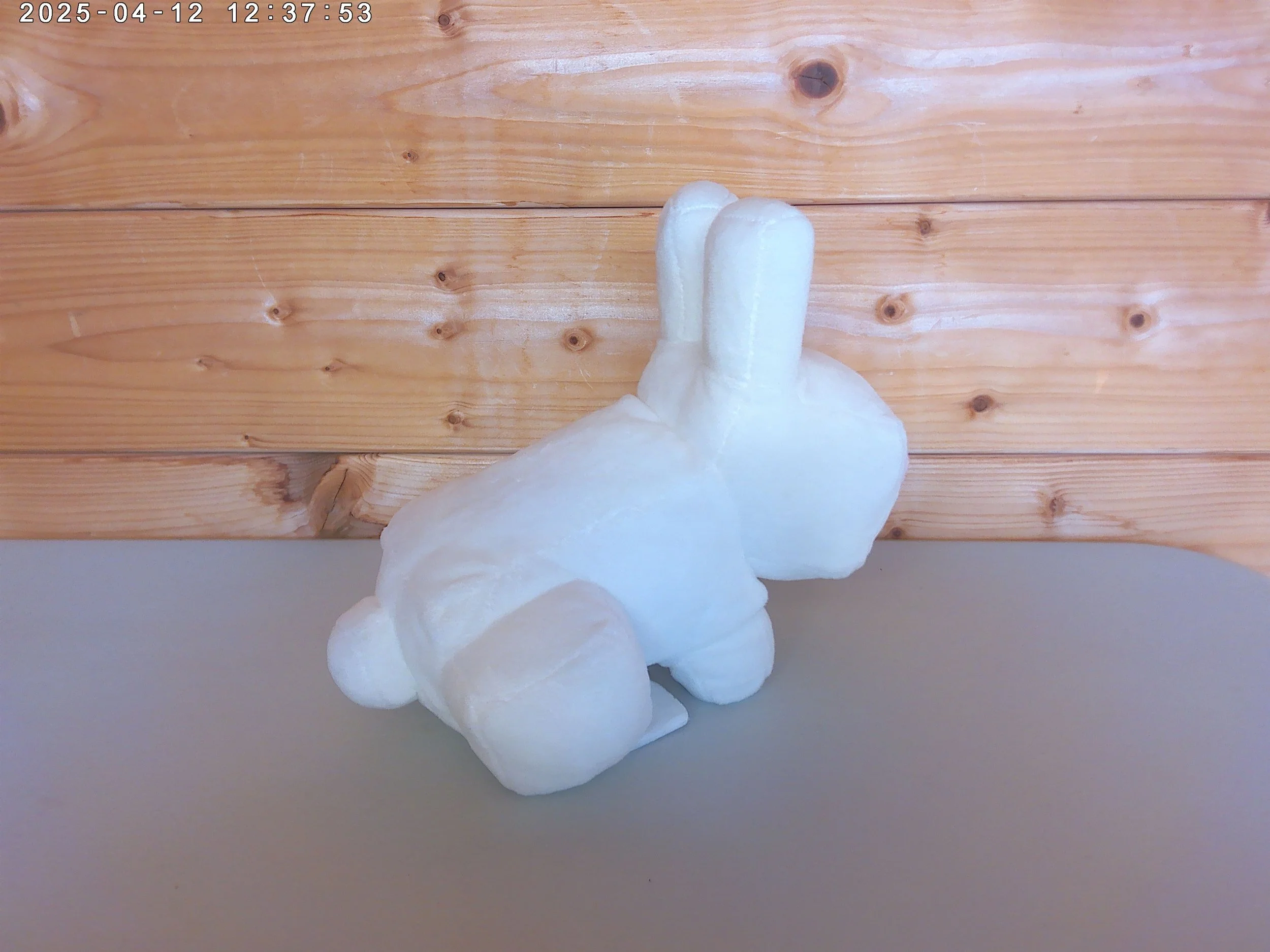 Evil white bunny - photo 2.jpg