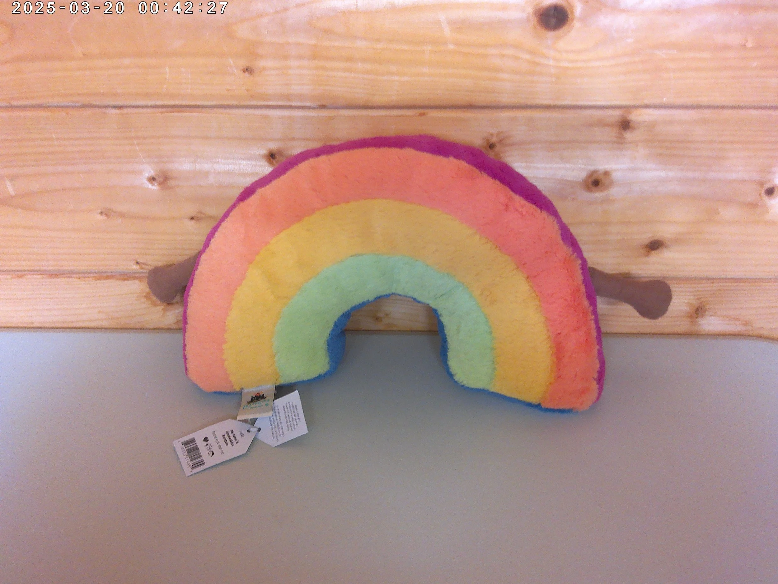 Rainbow - photo 2.jpg