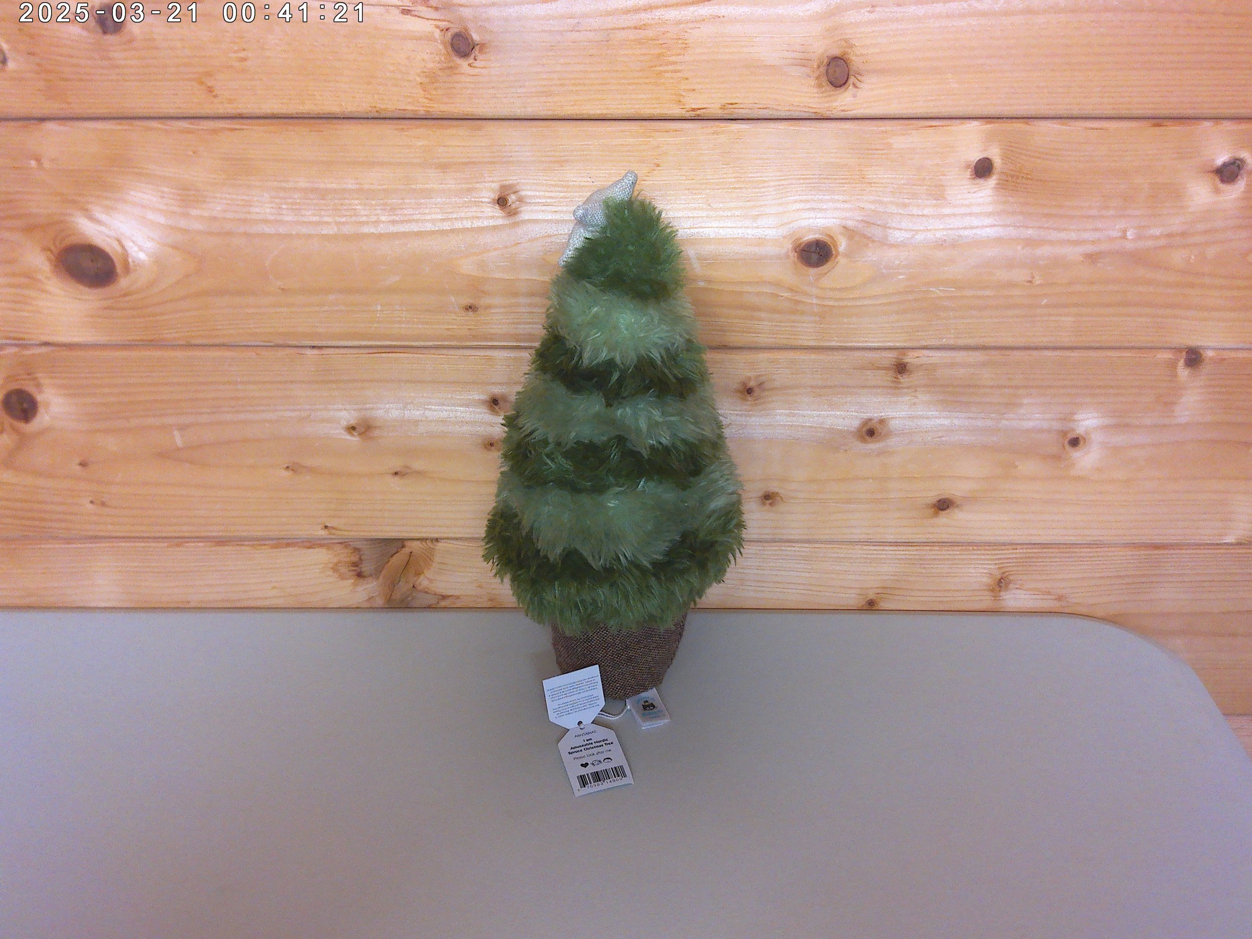 Christmas tree - photo 2.jpg