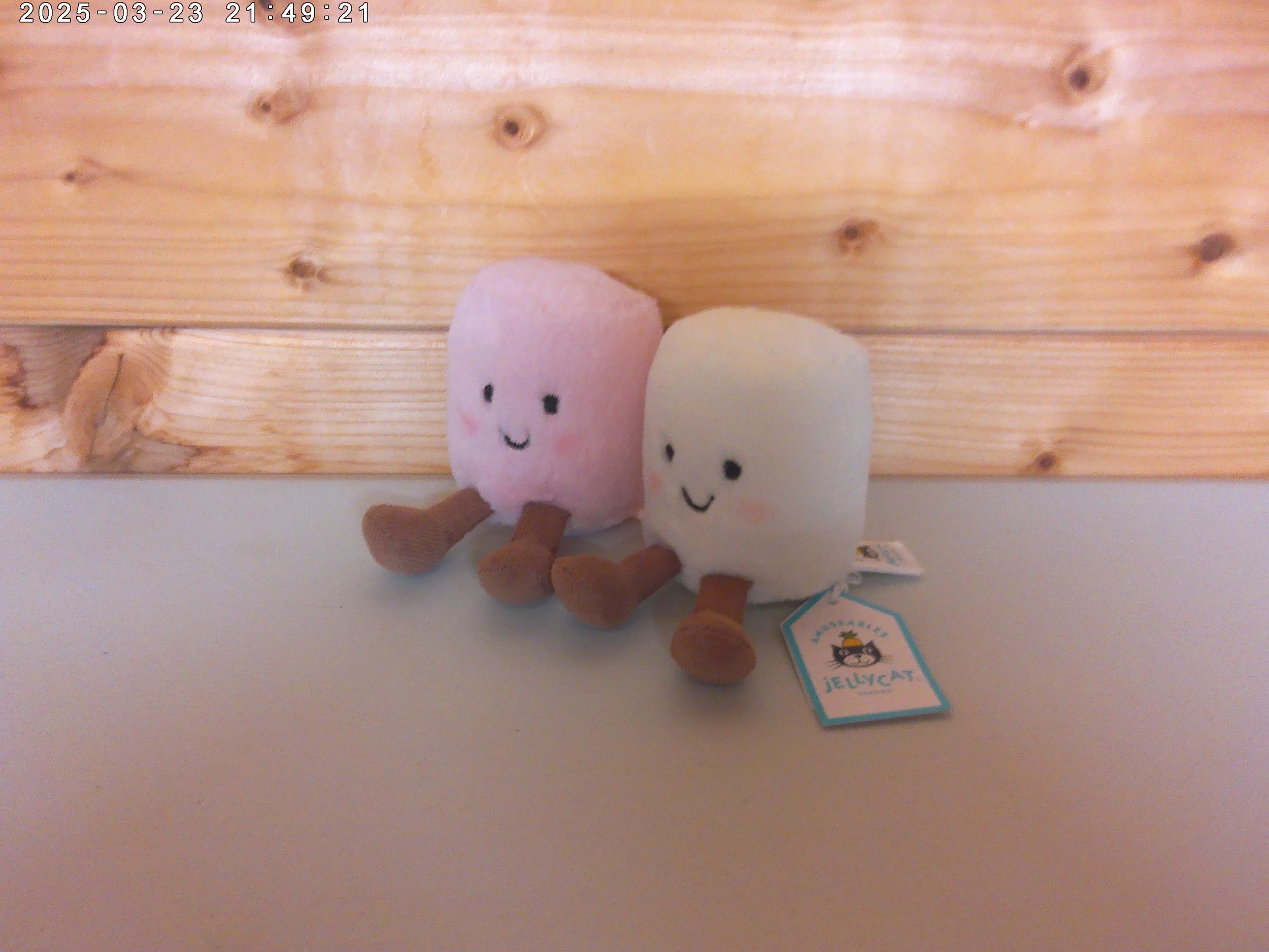 Marshmallows - photo 3.jpg