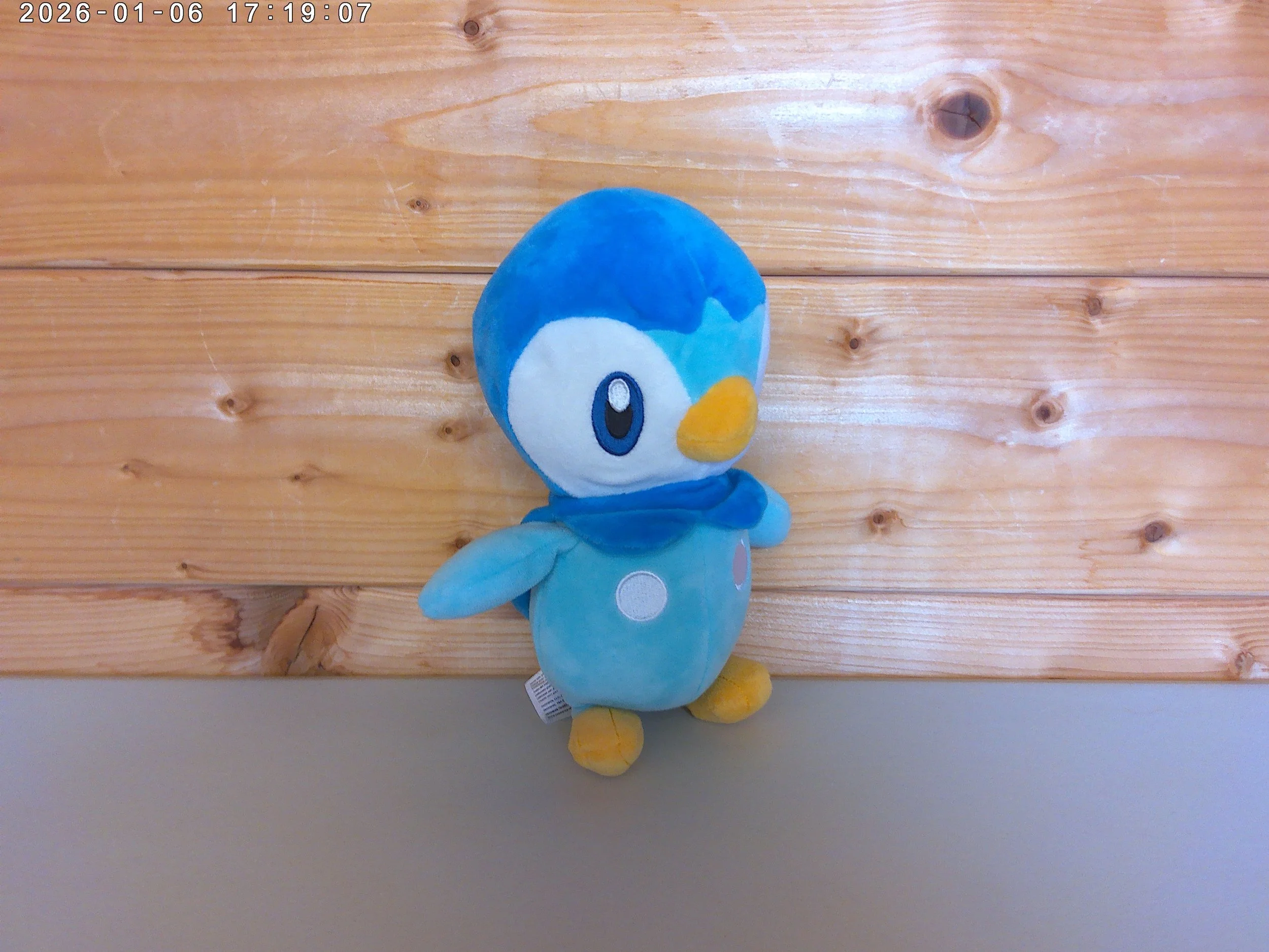 Piplup - photo 3.jpg