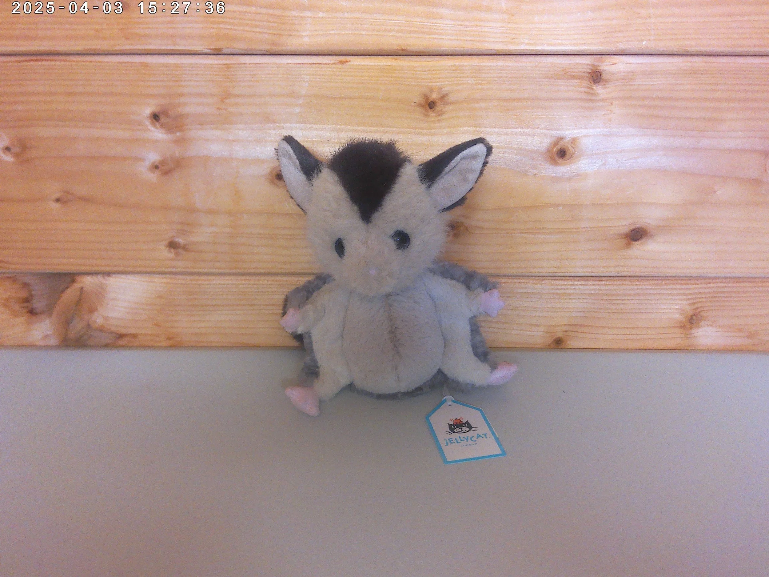 Suger glider - photo 1.jpg