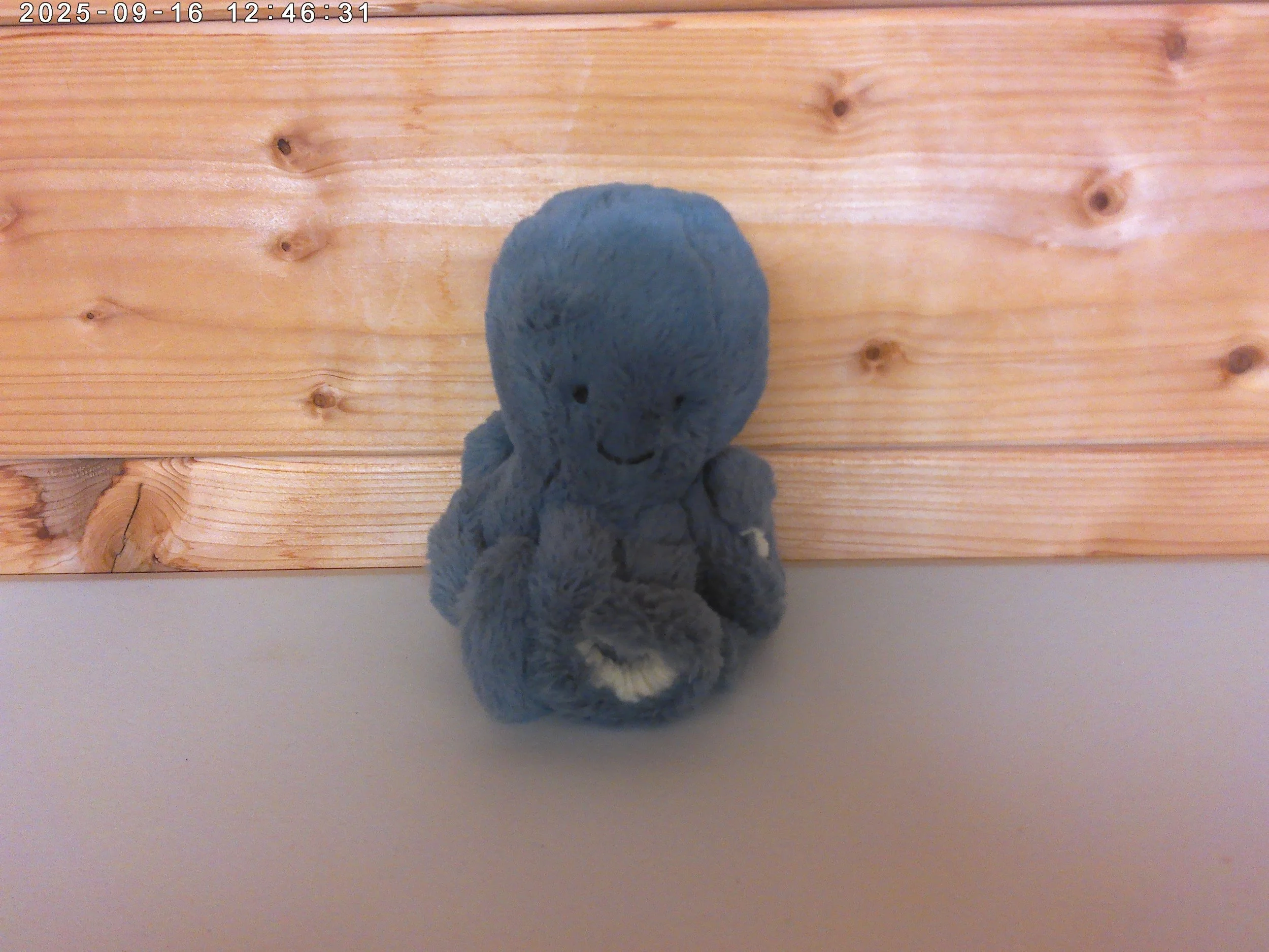 Storm octopus - photo 1.jpg