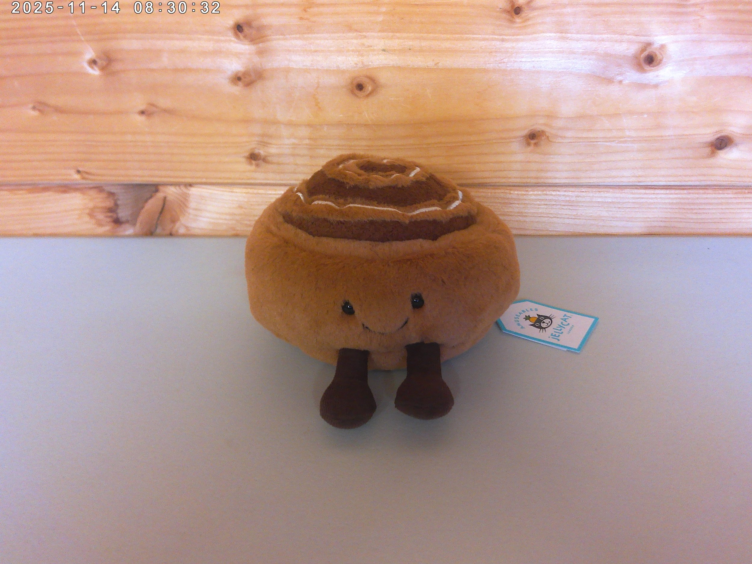 Cinnamon bun - photo 1.jpg