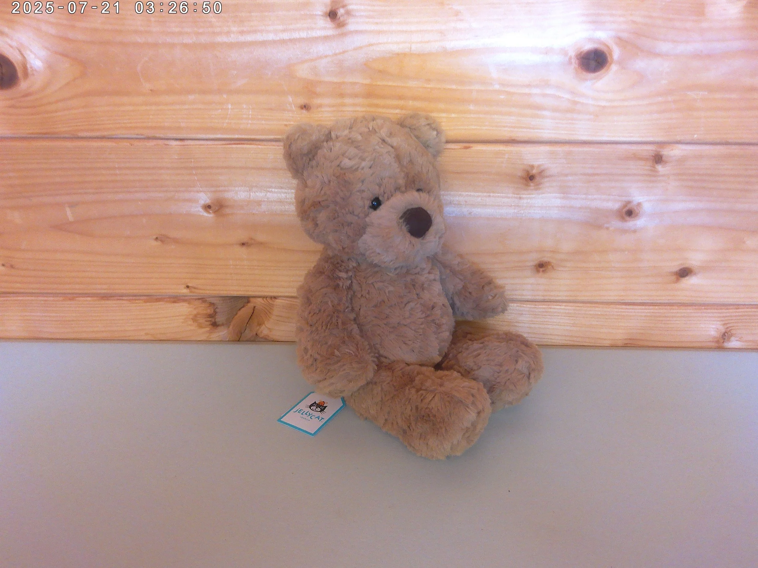 Bumbly bear - photo 4.jpg