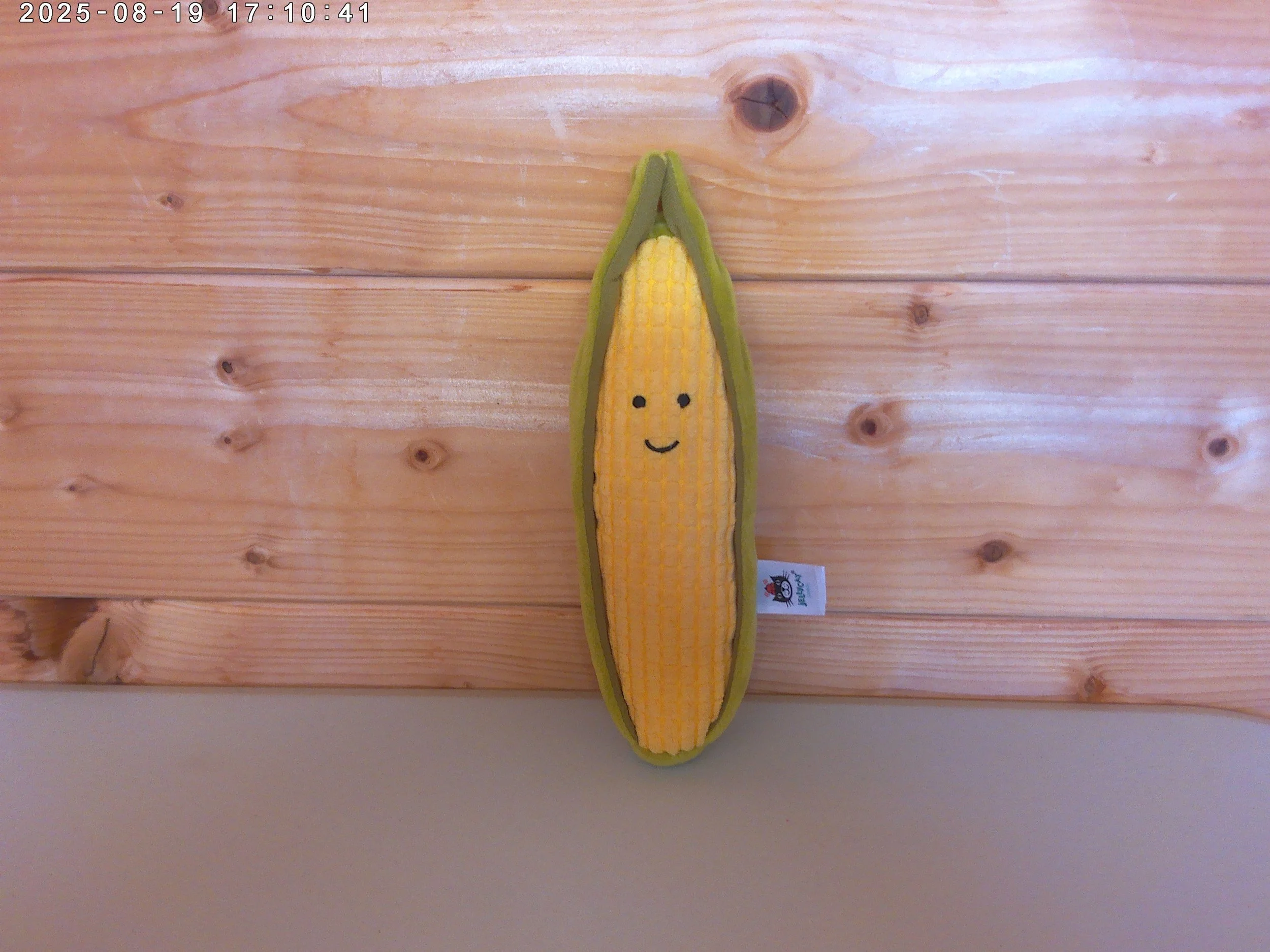 sweetcorn - photo 1.jpg