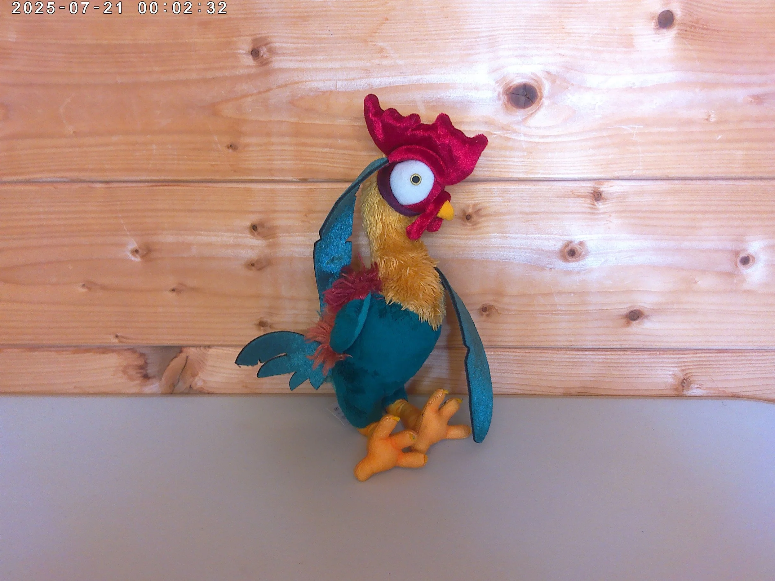 Hei Hei - photo 1.jpg