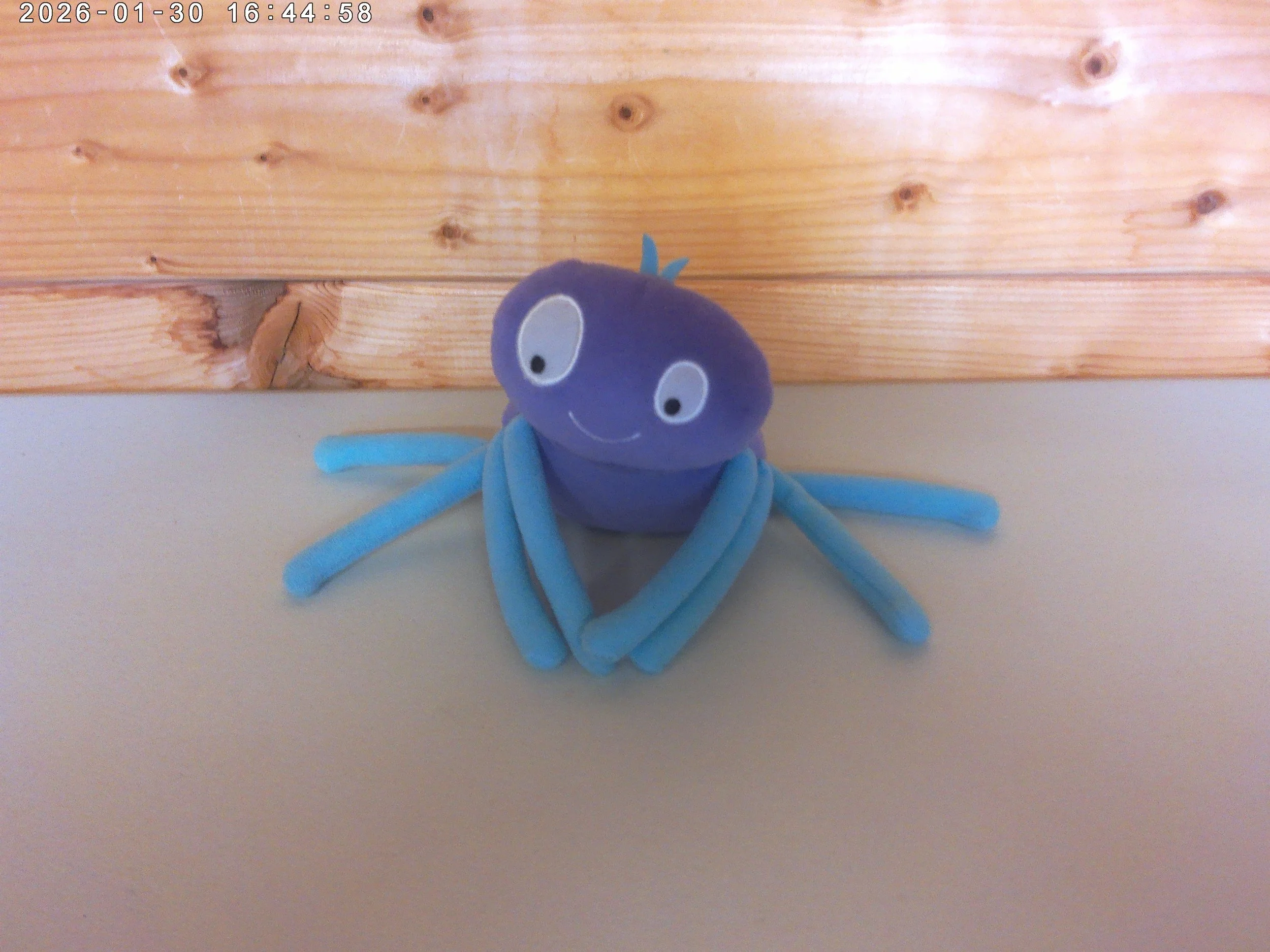 Incy Wincy Spider Plush