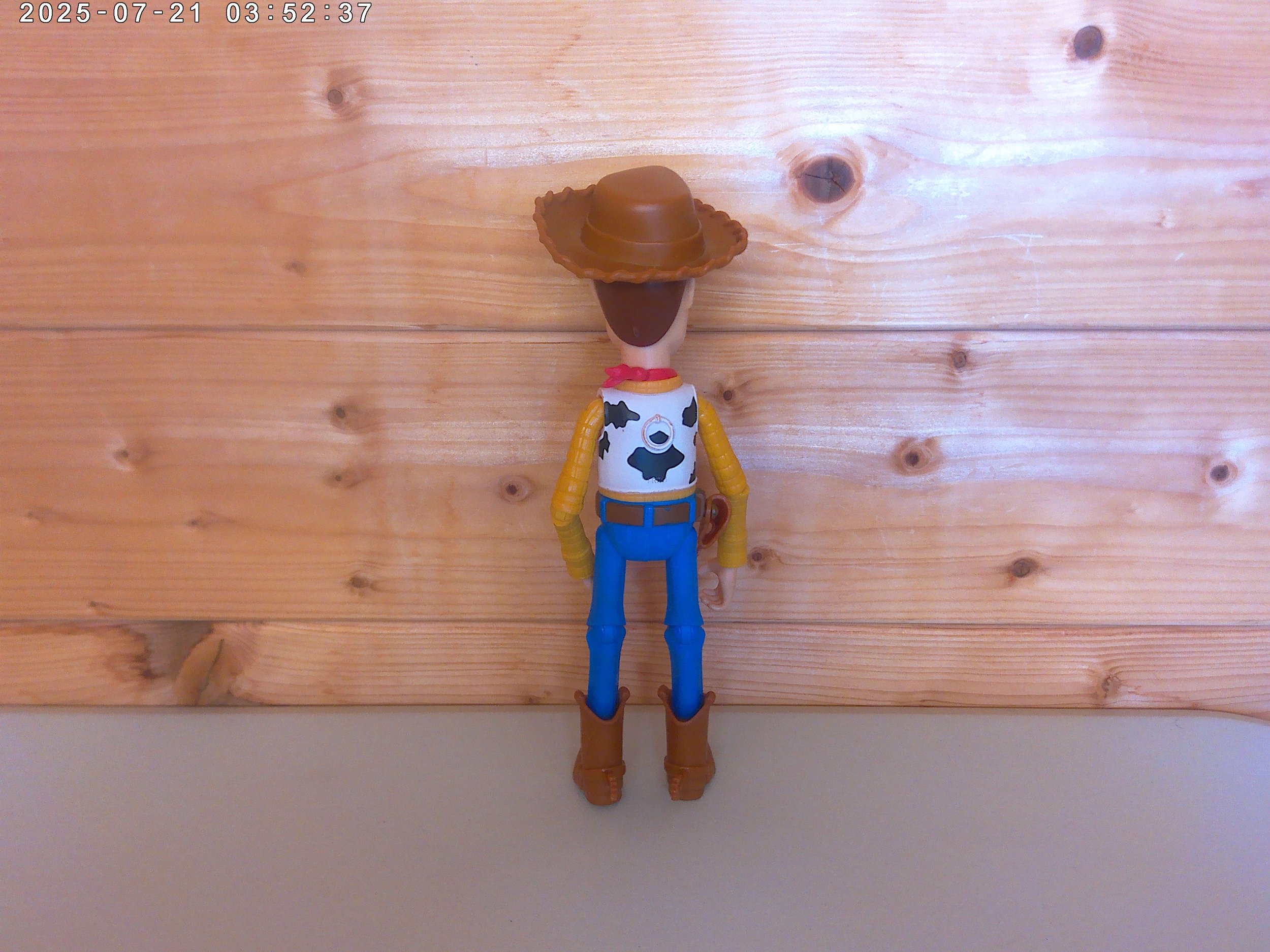 Woody - photo 3.jpg