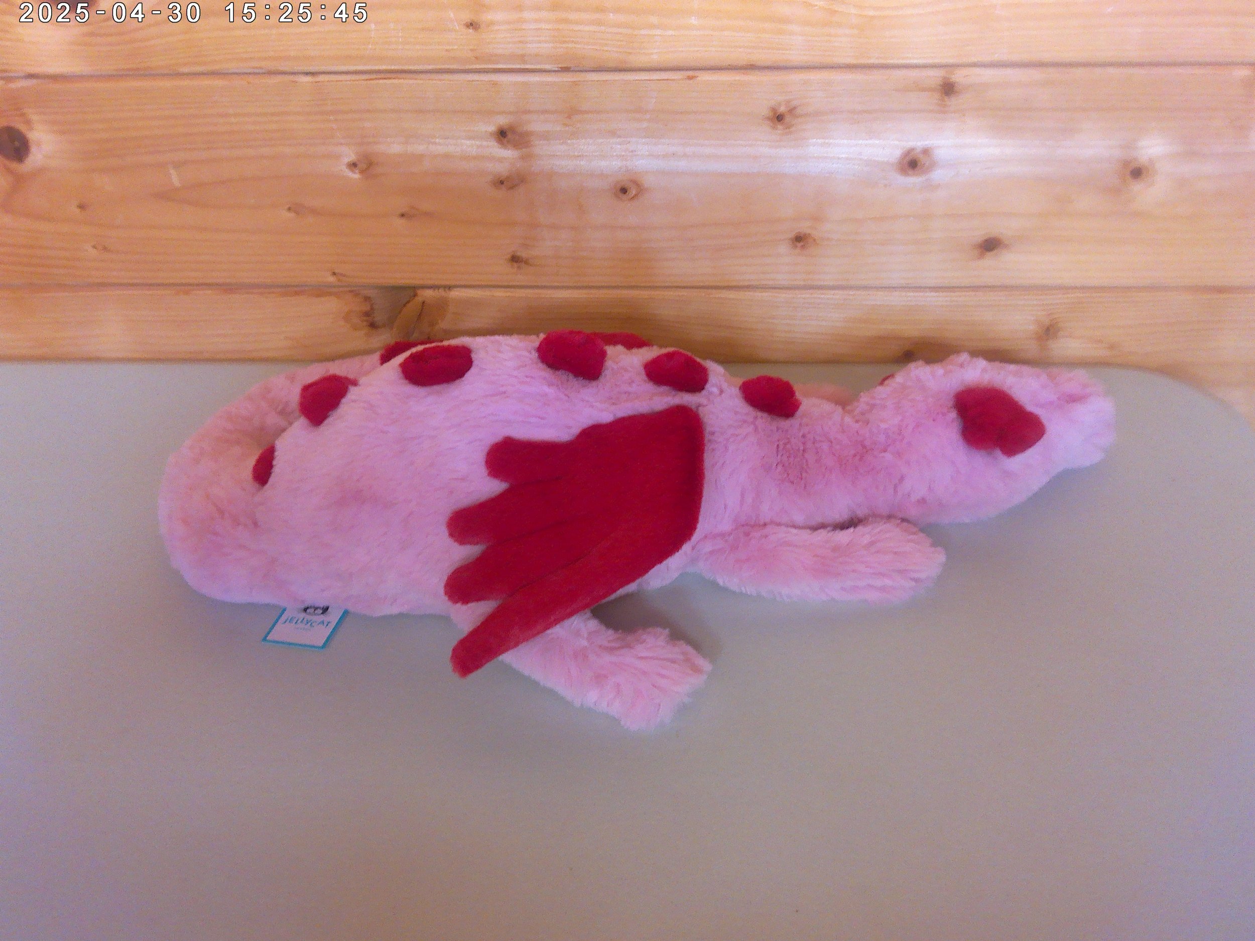 Heart dragon - photo 3.jpg