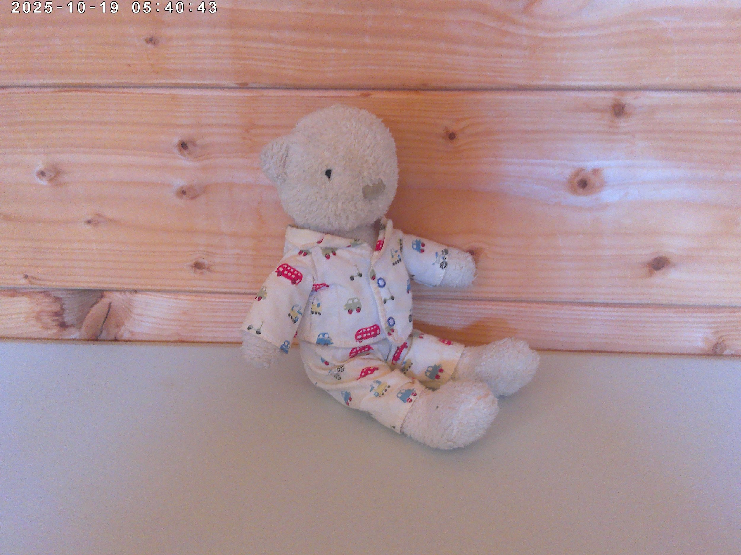 Bedtime bear - photo 4.jpg