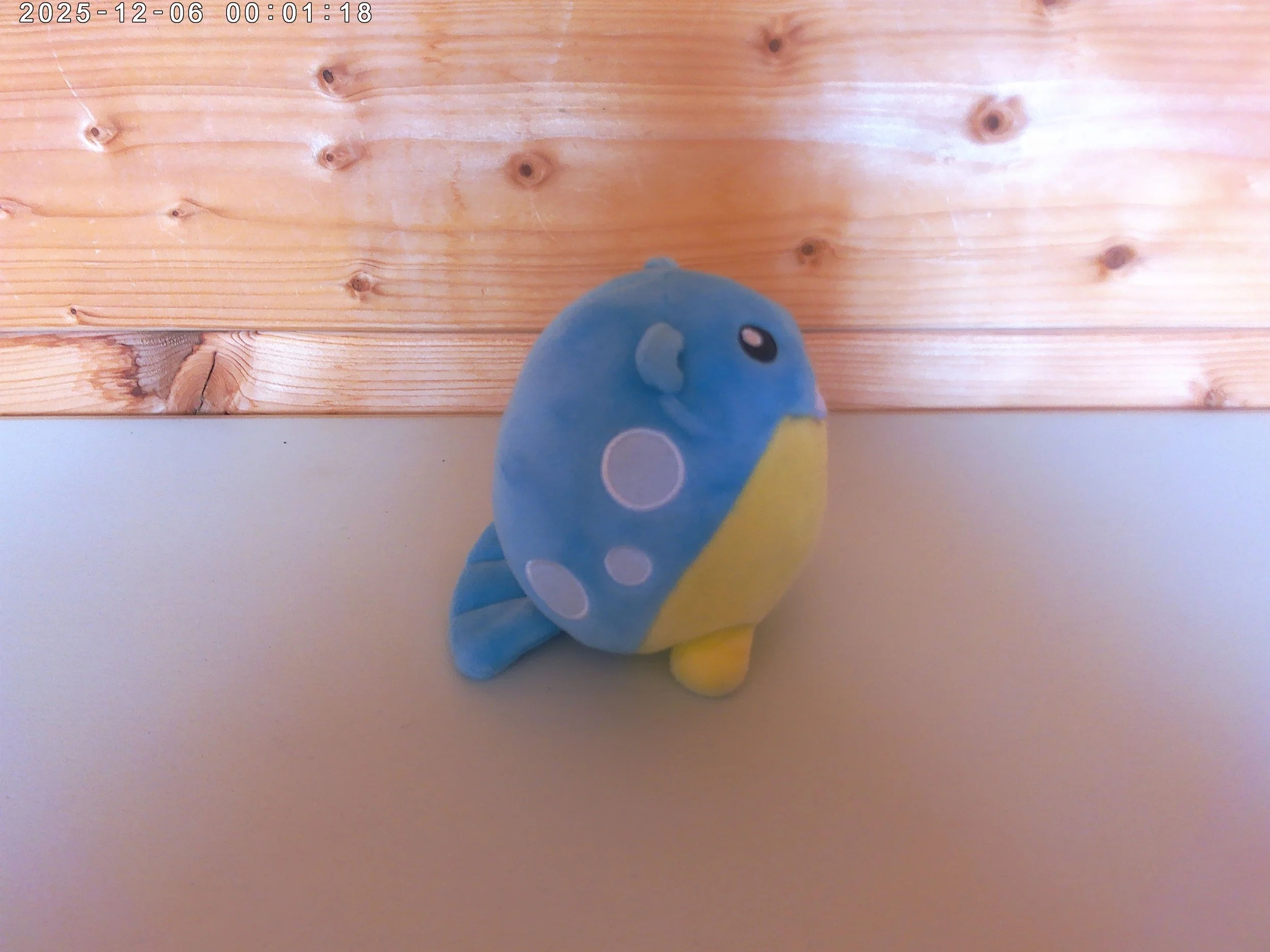 Spheal -  photo 3.jpg