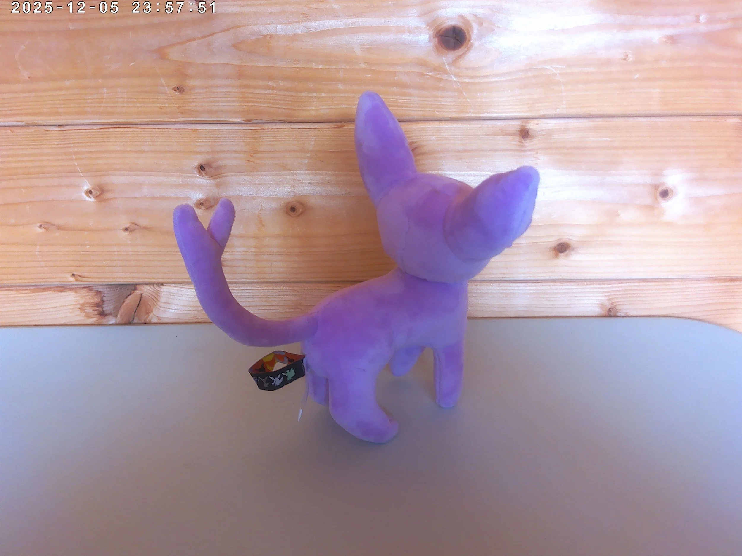 Espeon - photo 2.jpg