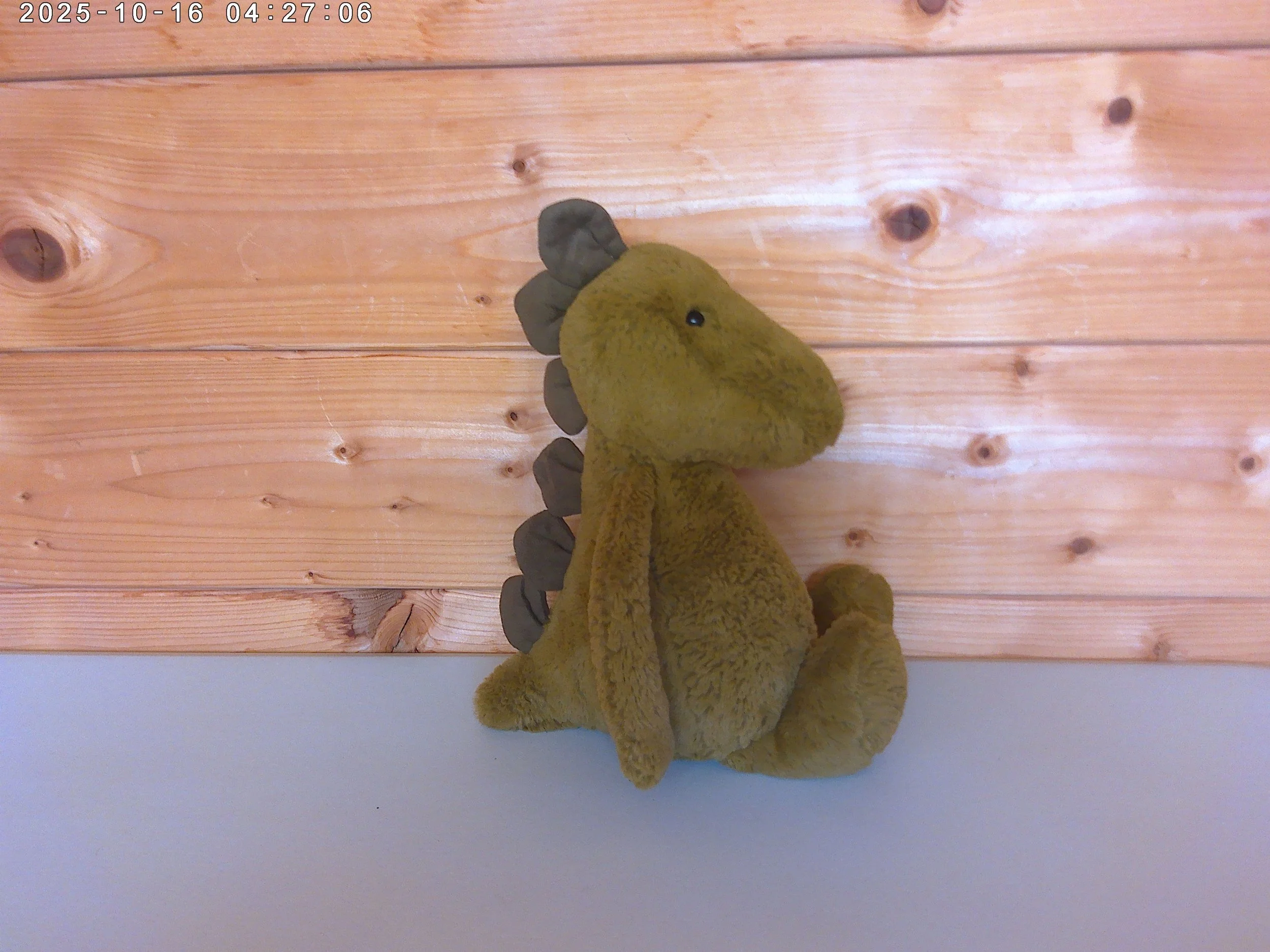 Bashful dino - photo 1.jpg