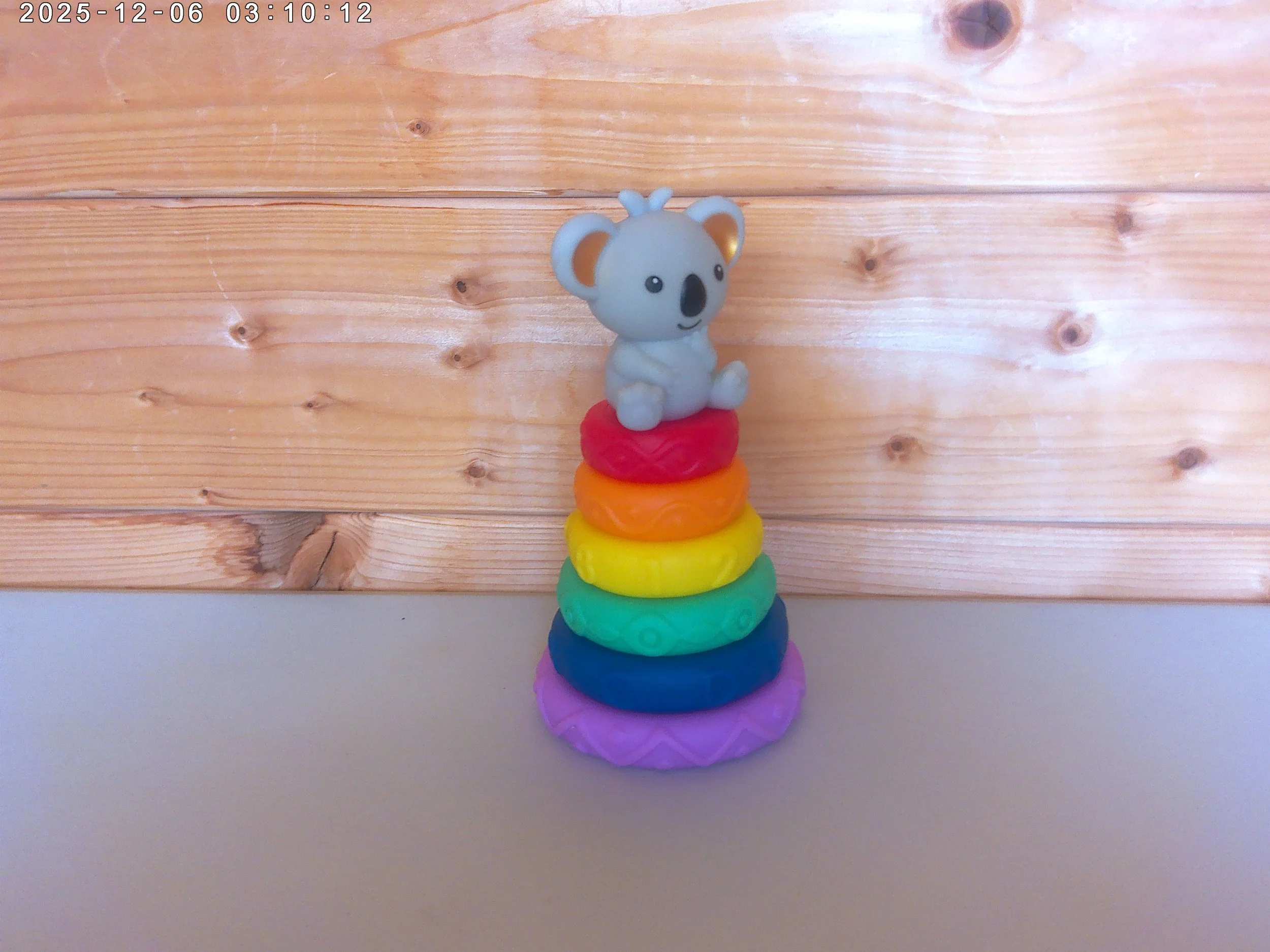 Koala - photo 4.jpg