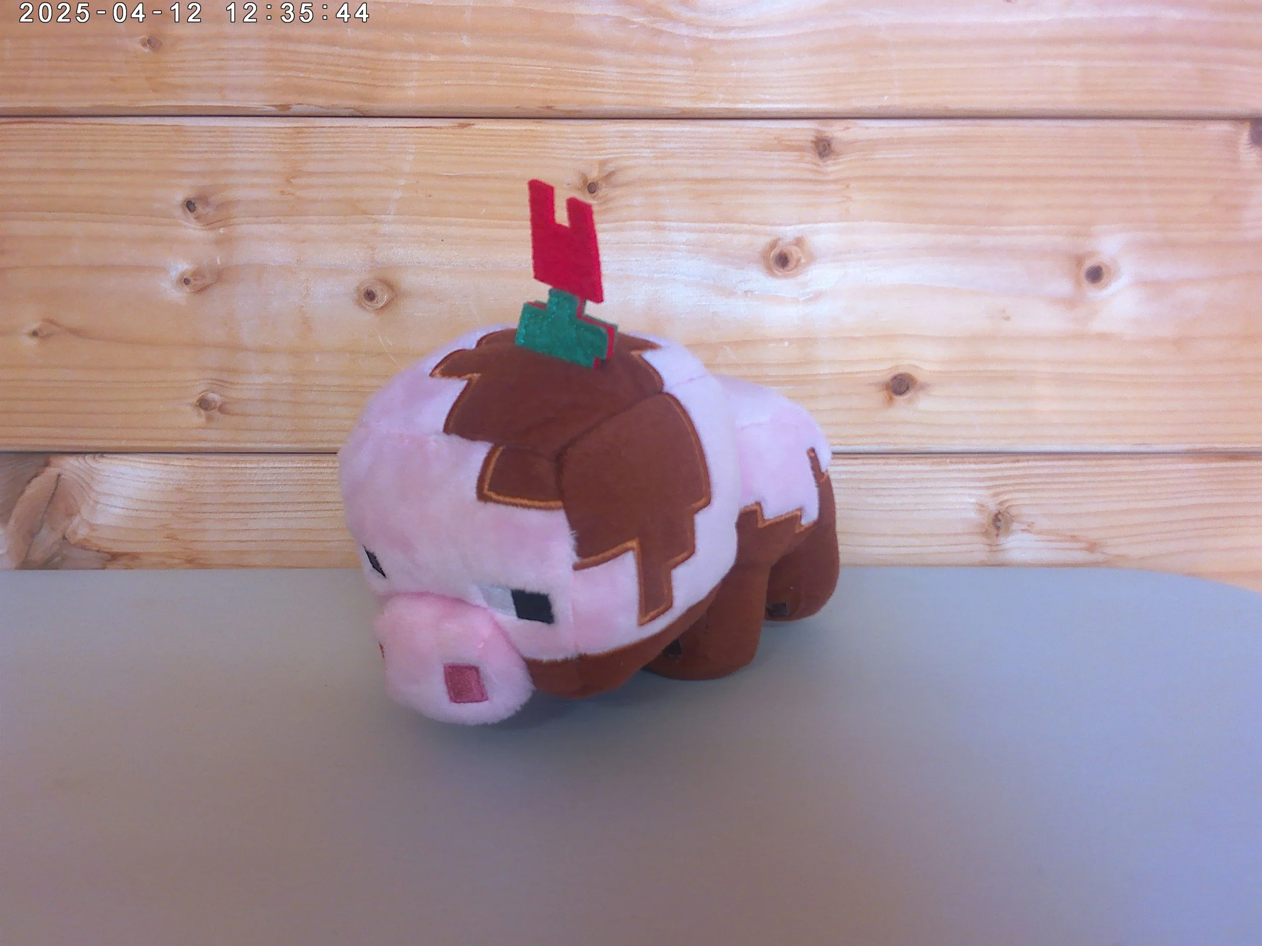 Muddy pig - photo 1.jpg