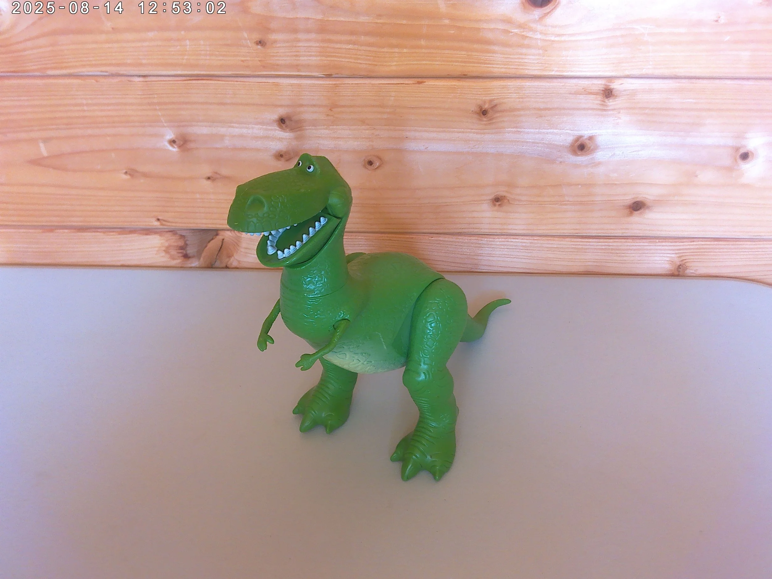 rex - photo 4.jpg