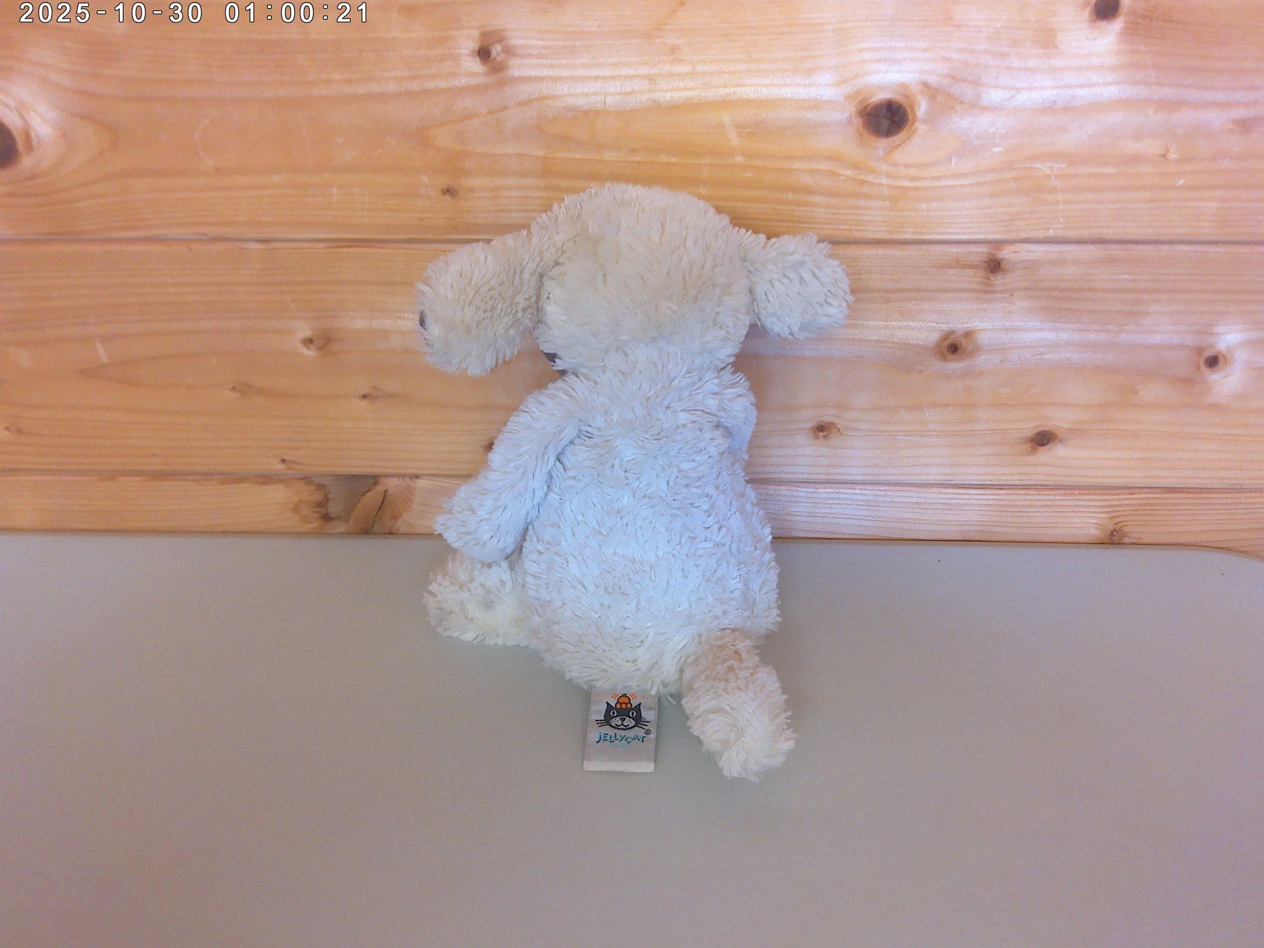 Bashful Lamb - photo 2.jpg