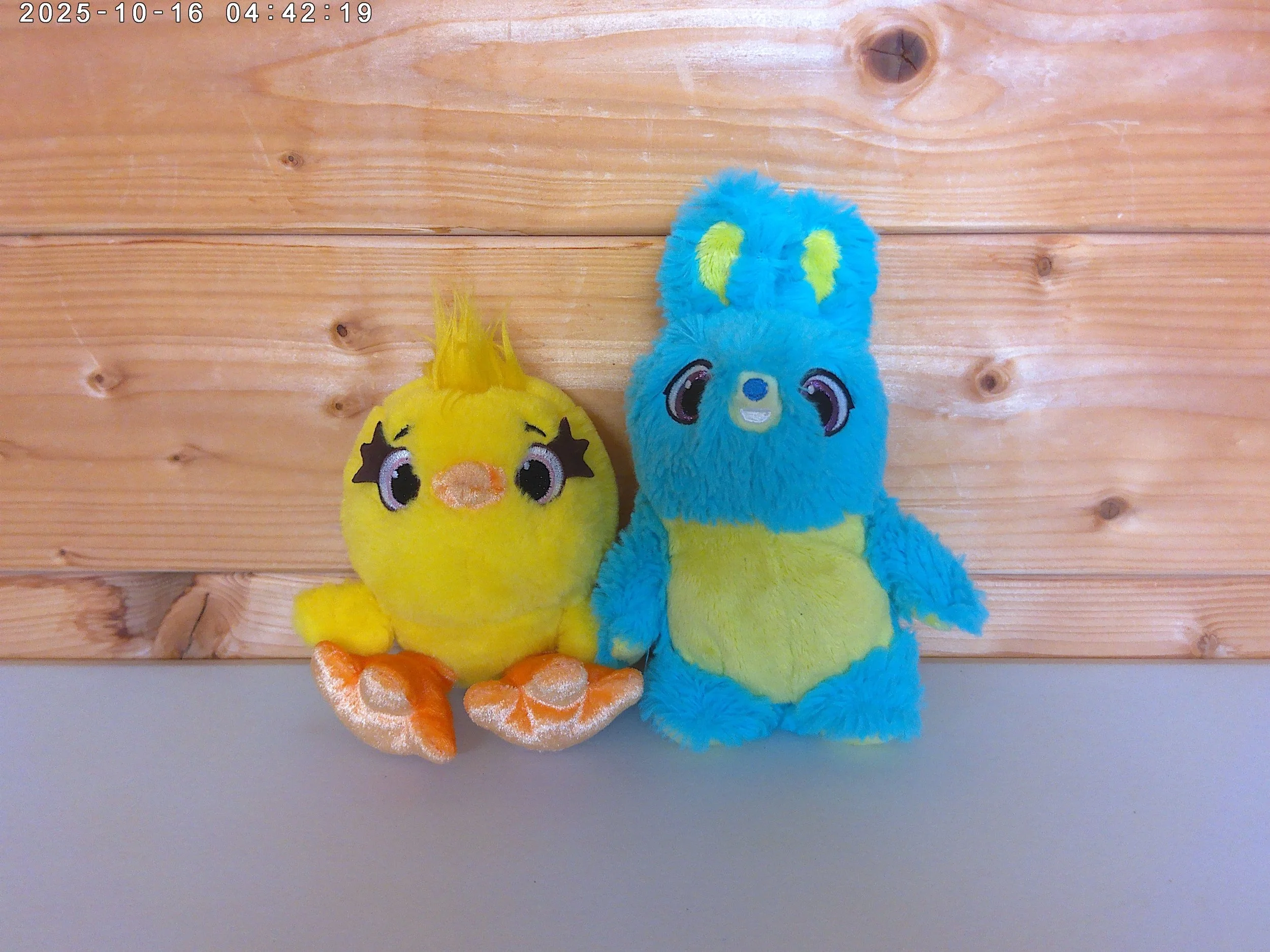 Bunny & ducky - photo 1.jpg