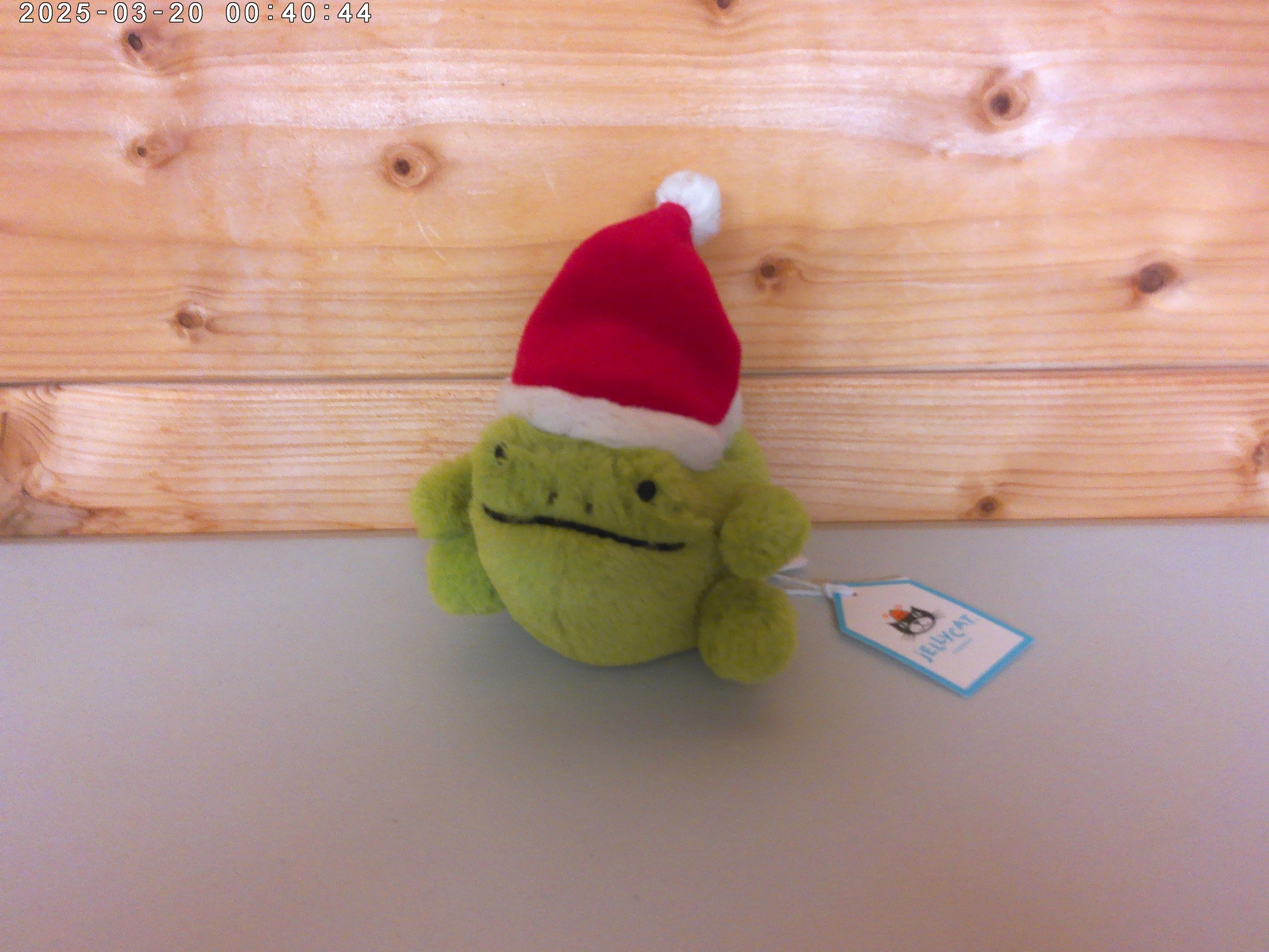 Jellycat Ricky Rain Frog Decoration - New